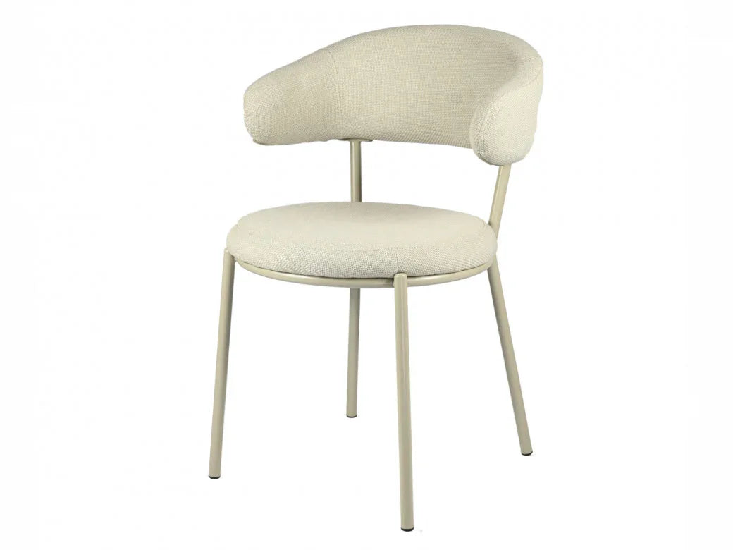 Cannes Dining Chair Shell (Set of 2)
