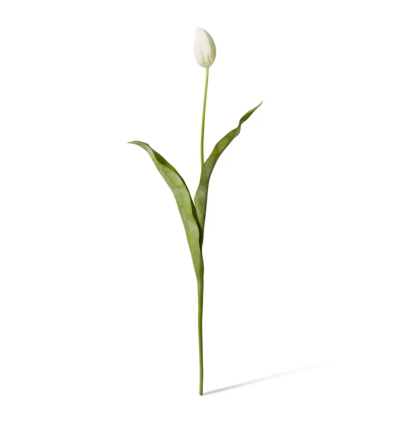 Tulip Stem - 9 x 3 x 74cm