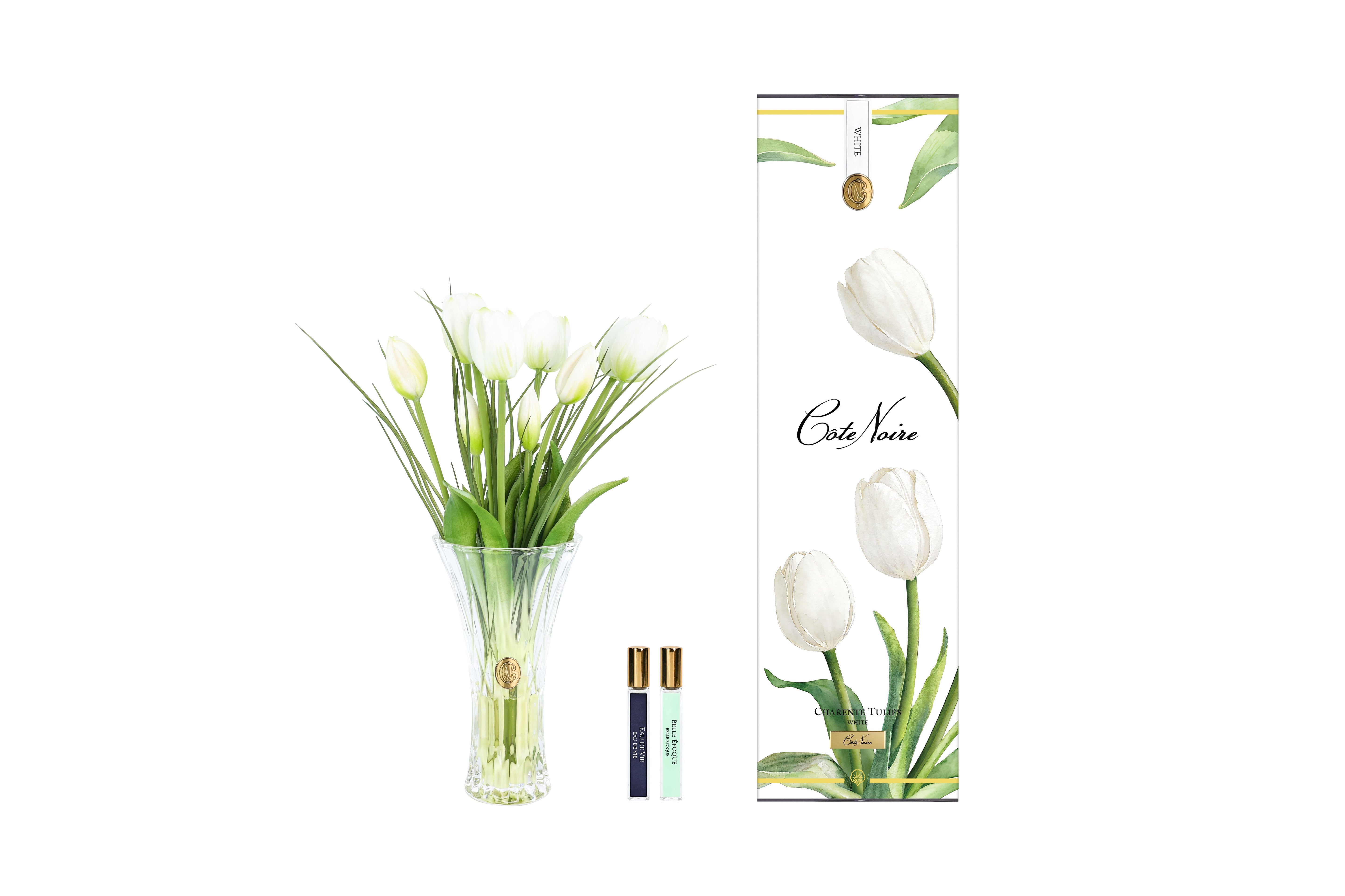 NEW - Cote Noire - Charente Tulips - White CHT01