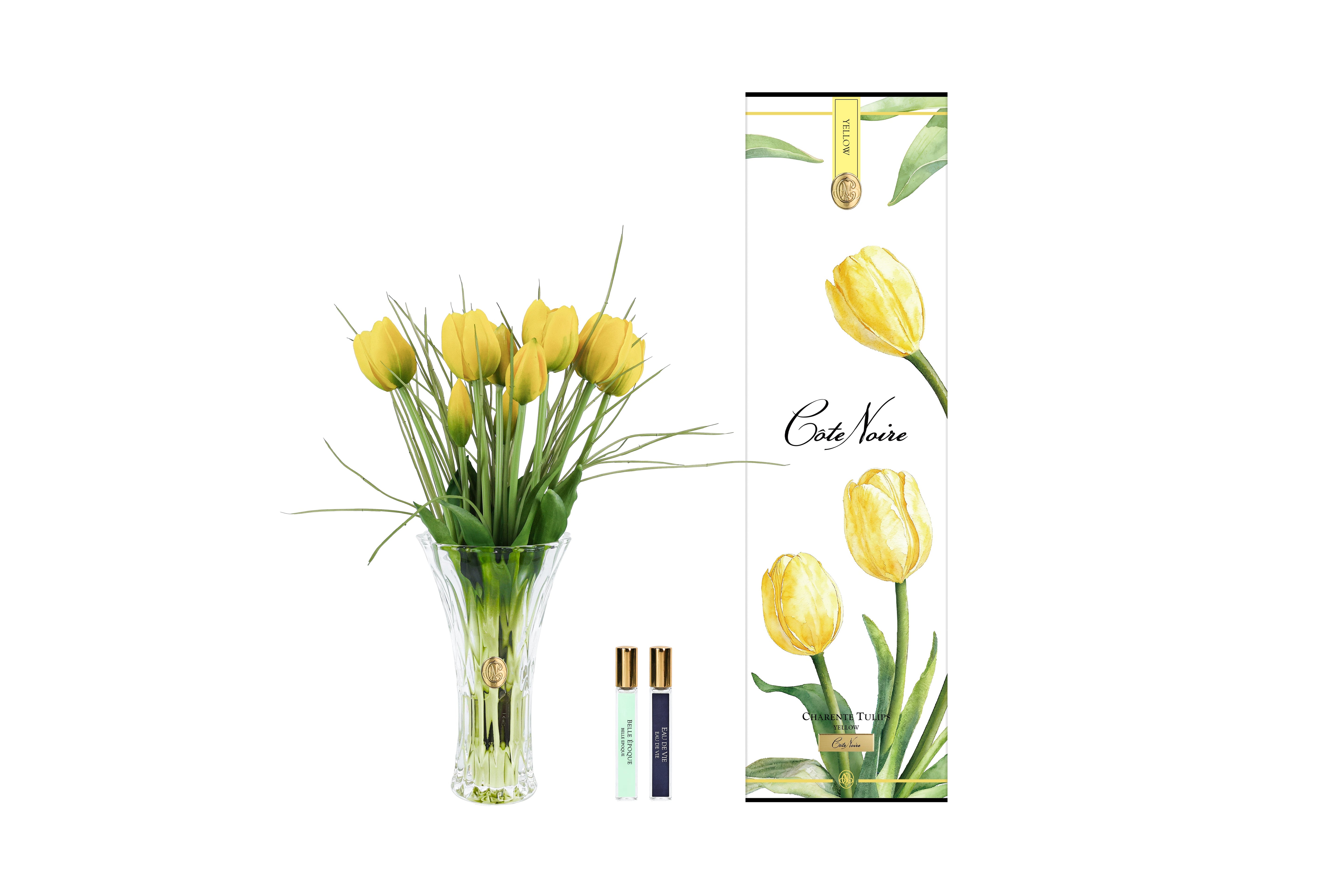 NEW - Cote Noire - Charente Tulips - Yellow - CHT04