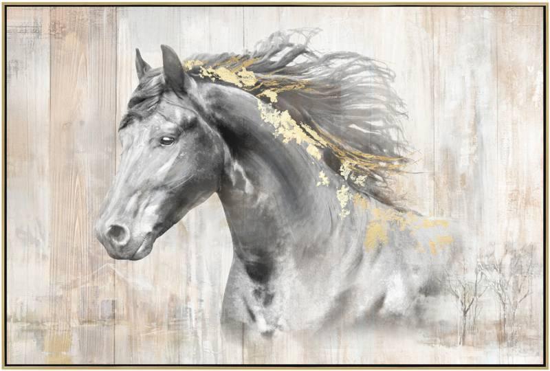 FC William Horse Canvas
