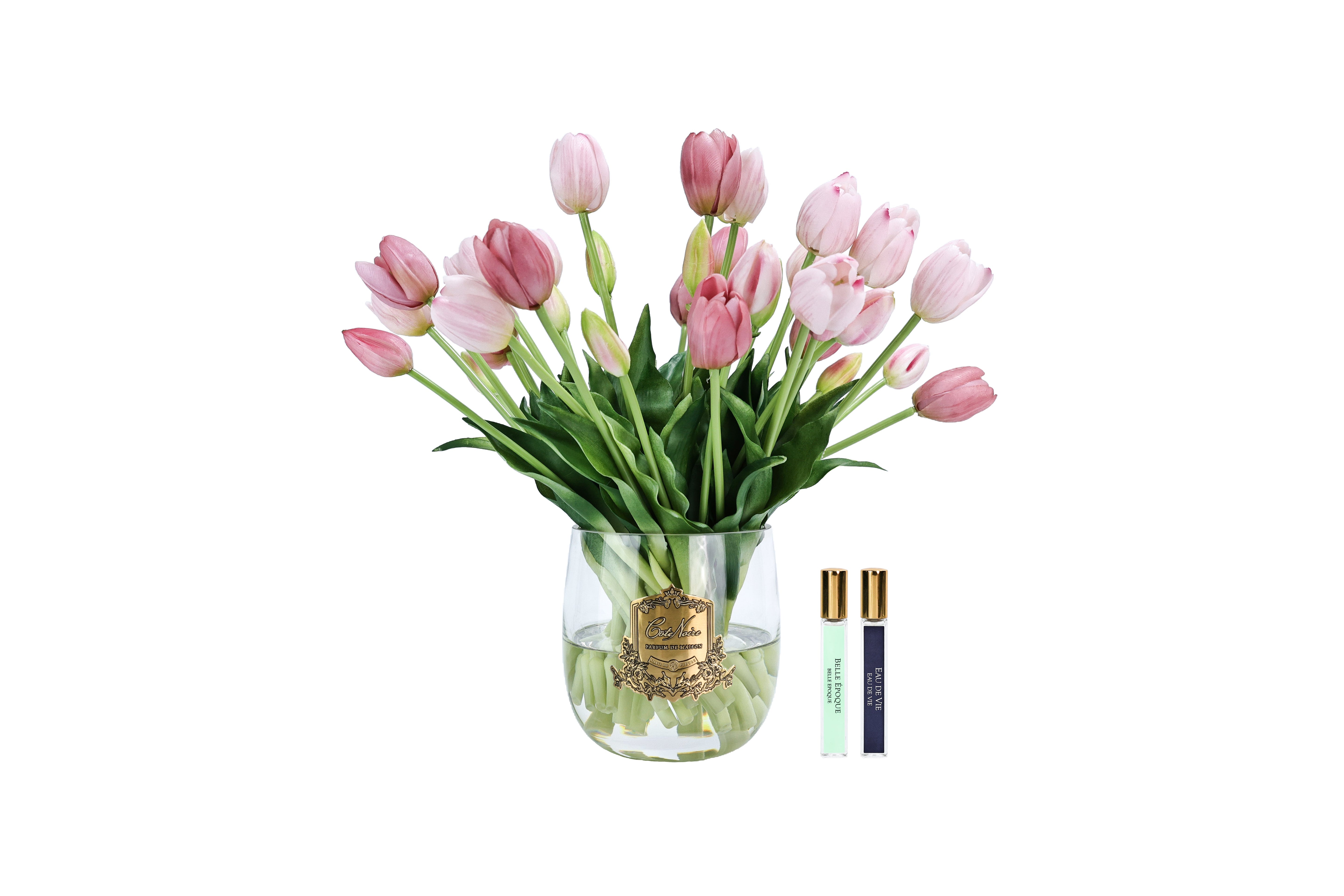 NEW - Cote Noire Heritage Tulips - Clear Vase with Gold Badge - Pink - HT02