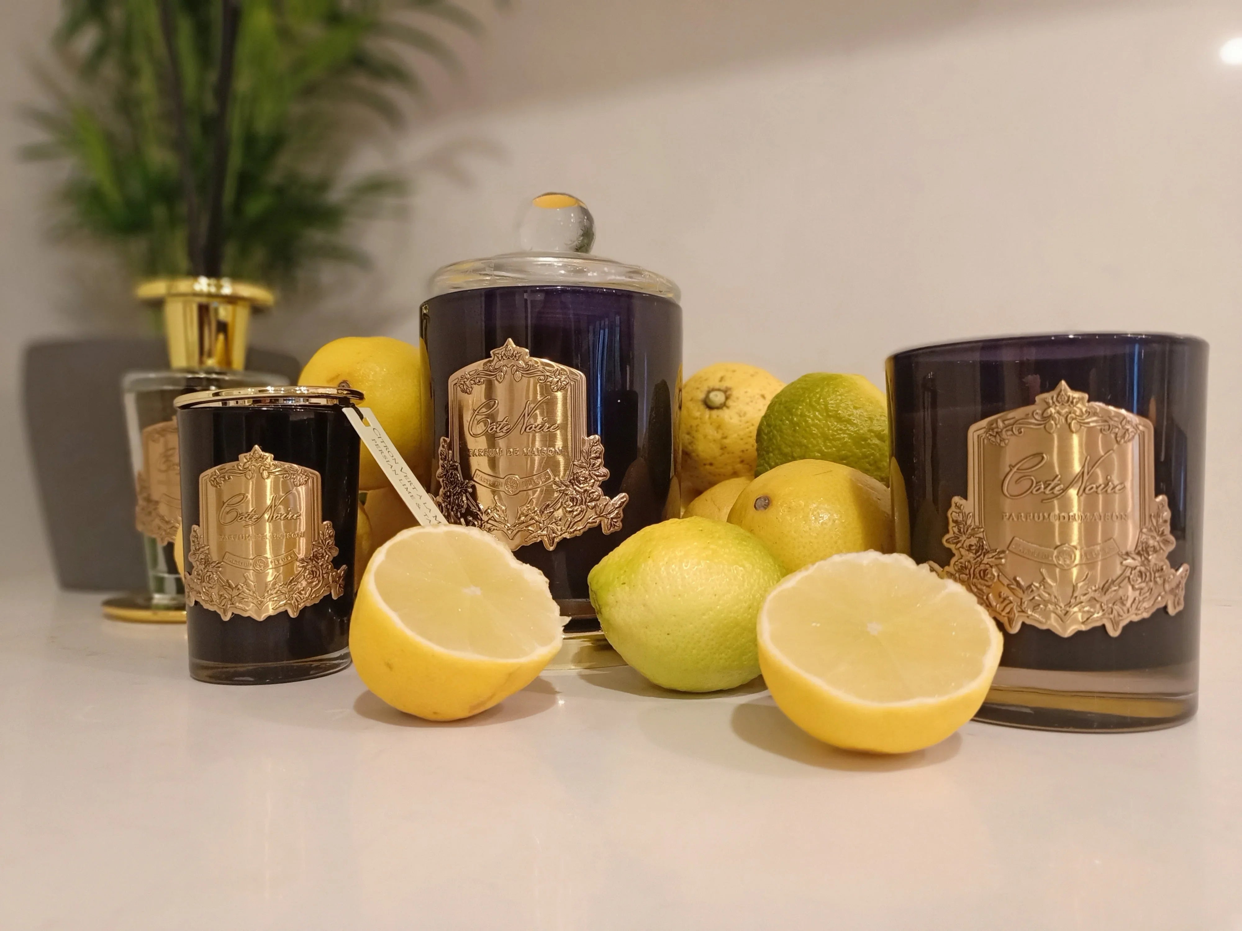 Cote Noire-Persian Lime - Gold Badge Candles