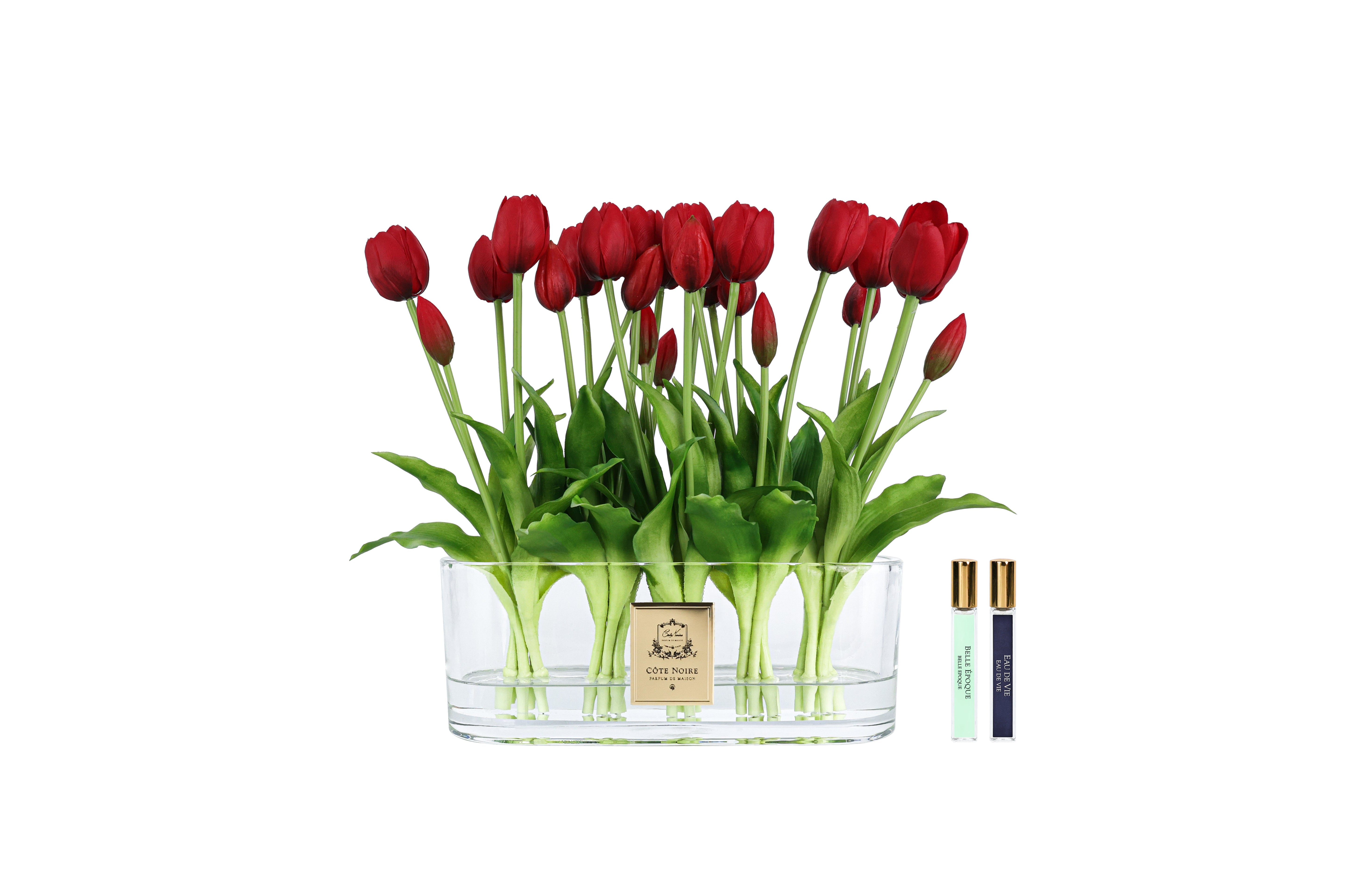 NEW - Cote Noire Oval Tulips - Red - OT03