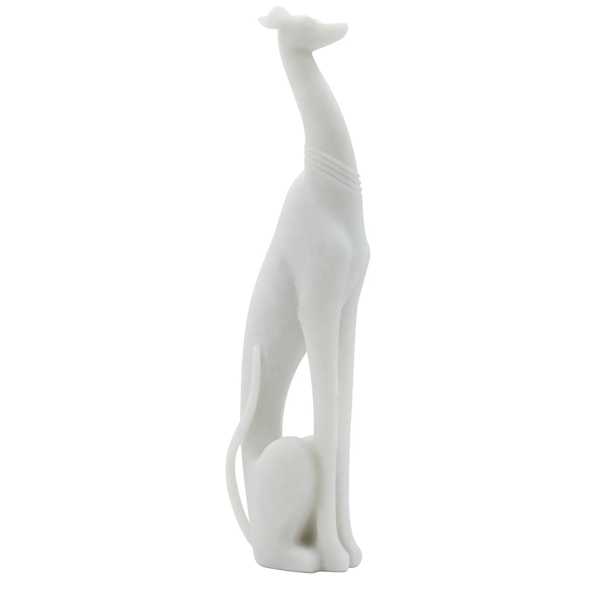 Doggone Delight 14x50