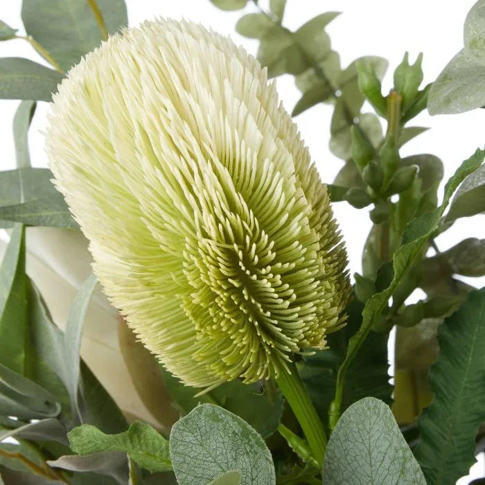 Rogue Australis Protea Eucalyptus Mix-Malia Pot Green 78x78x79cm