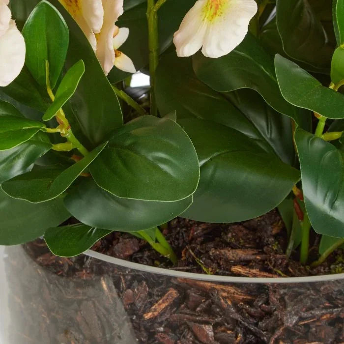 Rogue Dancing Orchid Garden Mix-Madelyn Bowl Cream/Glass 66x66x67cm