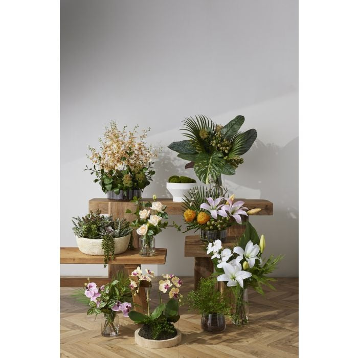 Rogue Dancing Orchid Garden Mix-Madelyn Bowl Cream/Glass 66x66x67cm
