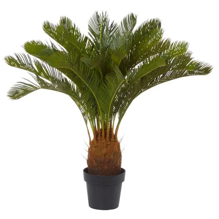 Rogue Cycas Plant Green 76x76x93cm
