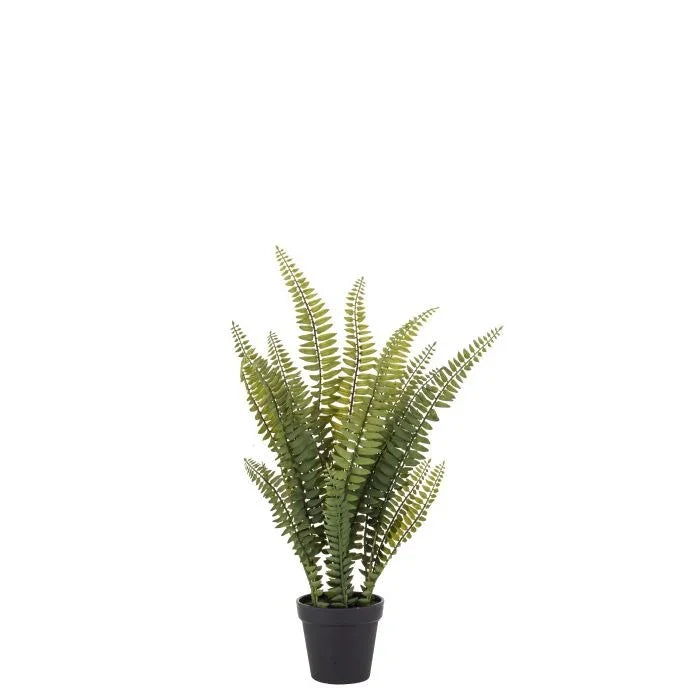 Rogue Boston Fern-Garden Pot Green 23x23x51cm