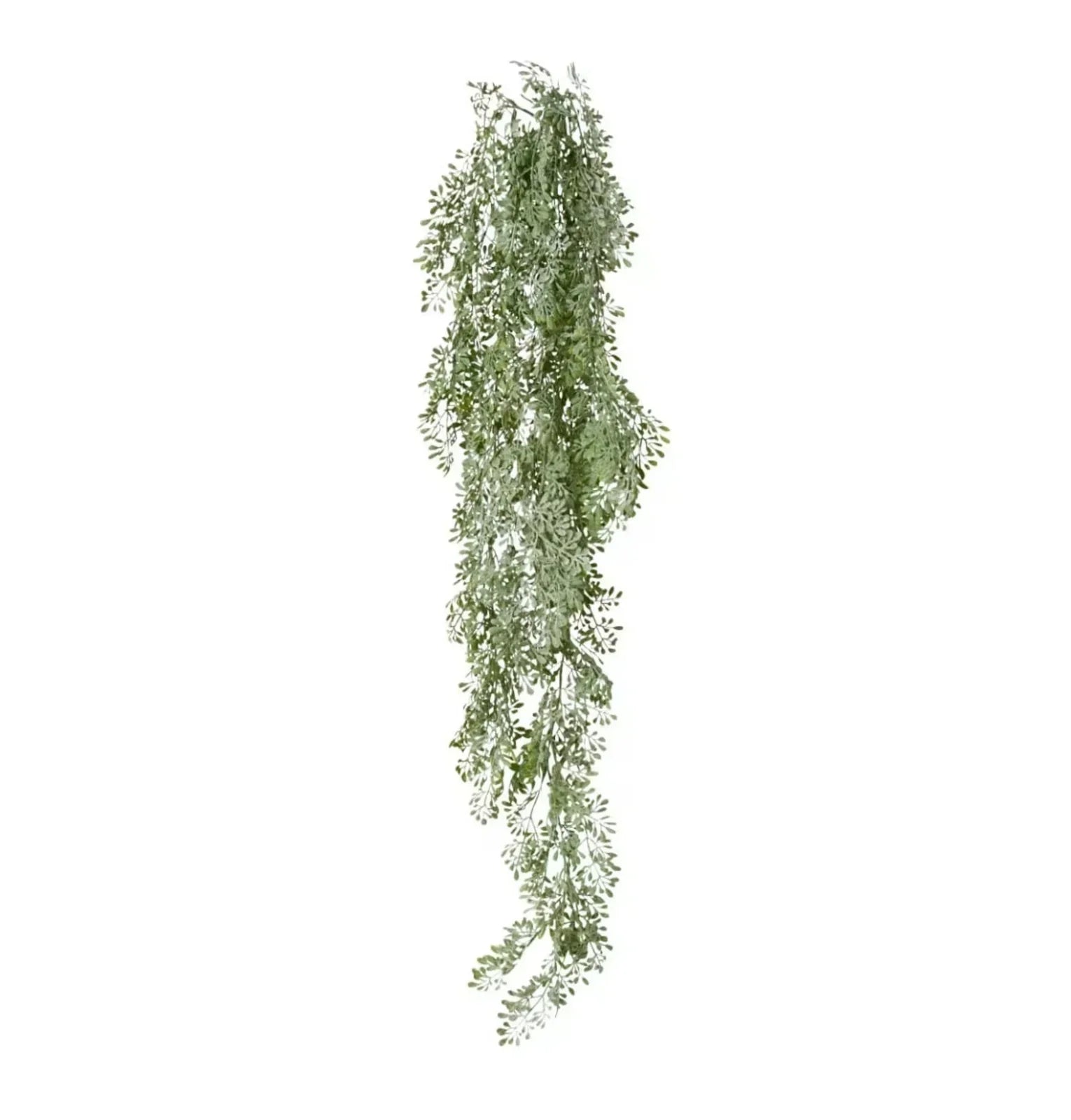 Angel Exotic Hanging Bush 25 x 18 x 80cm