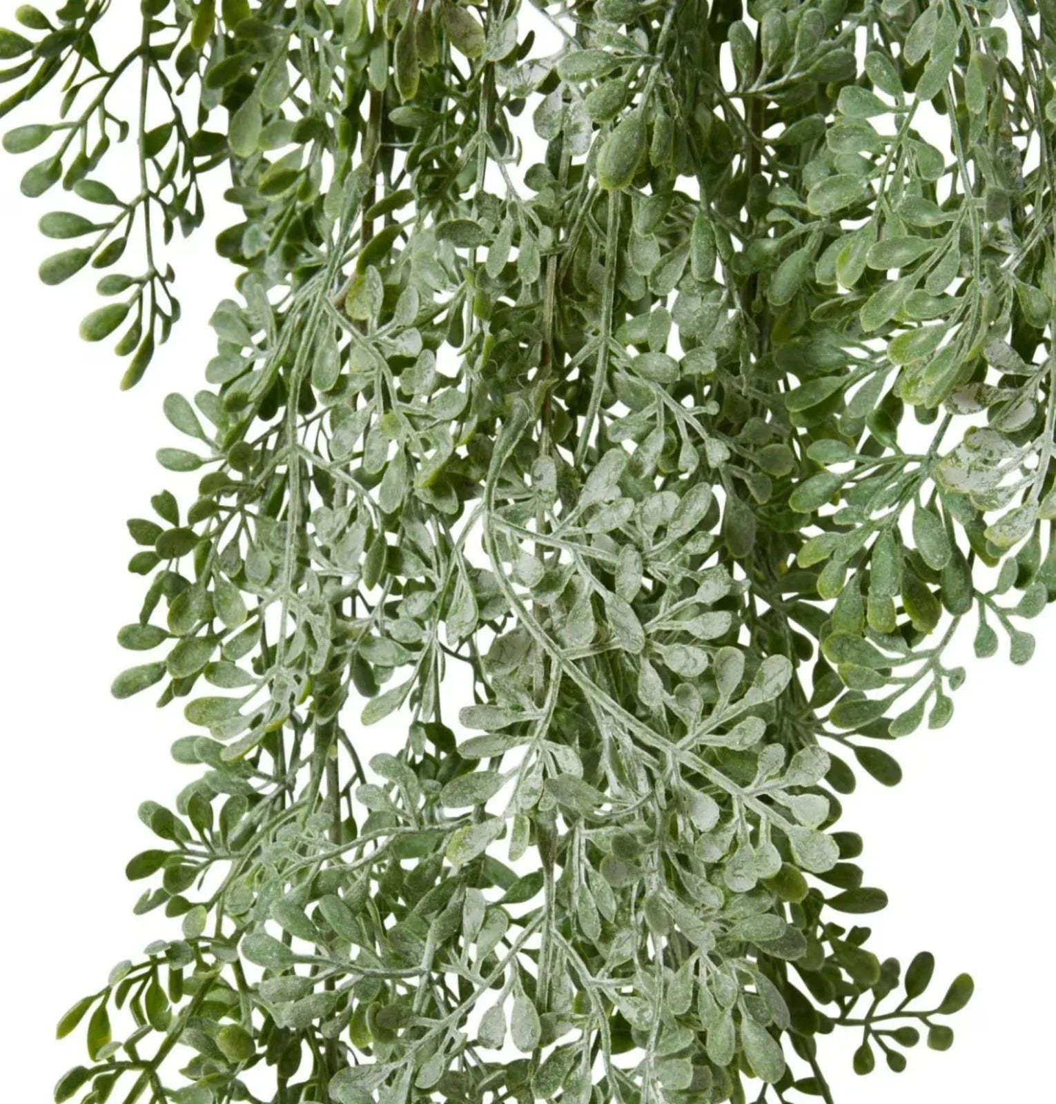 Angel Exotic Hanging Bush 25 x 18 x 80cm