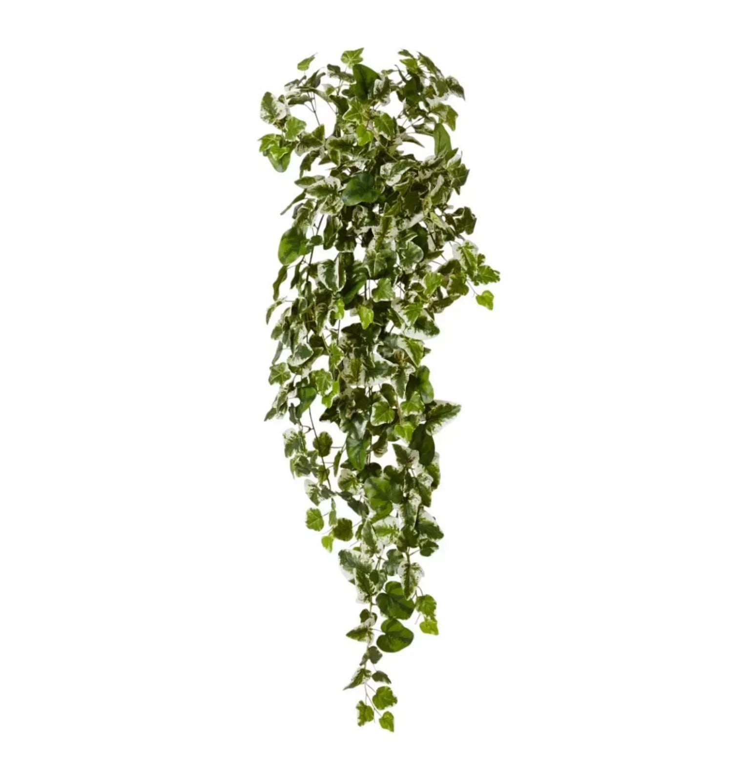 Ivy Kangaroo Hanging Bush 45 x 40 x 110cm