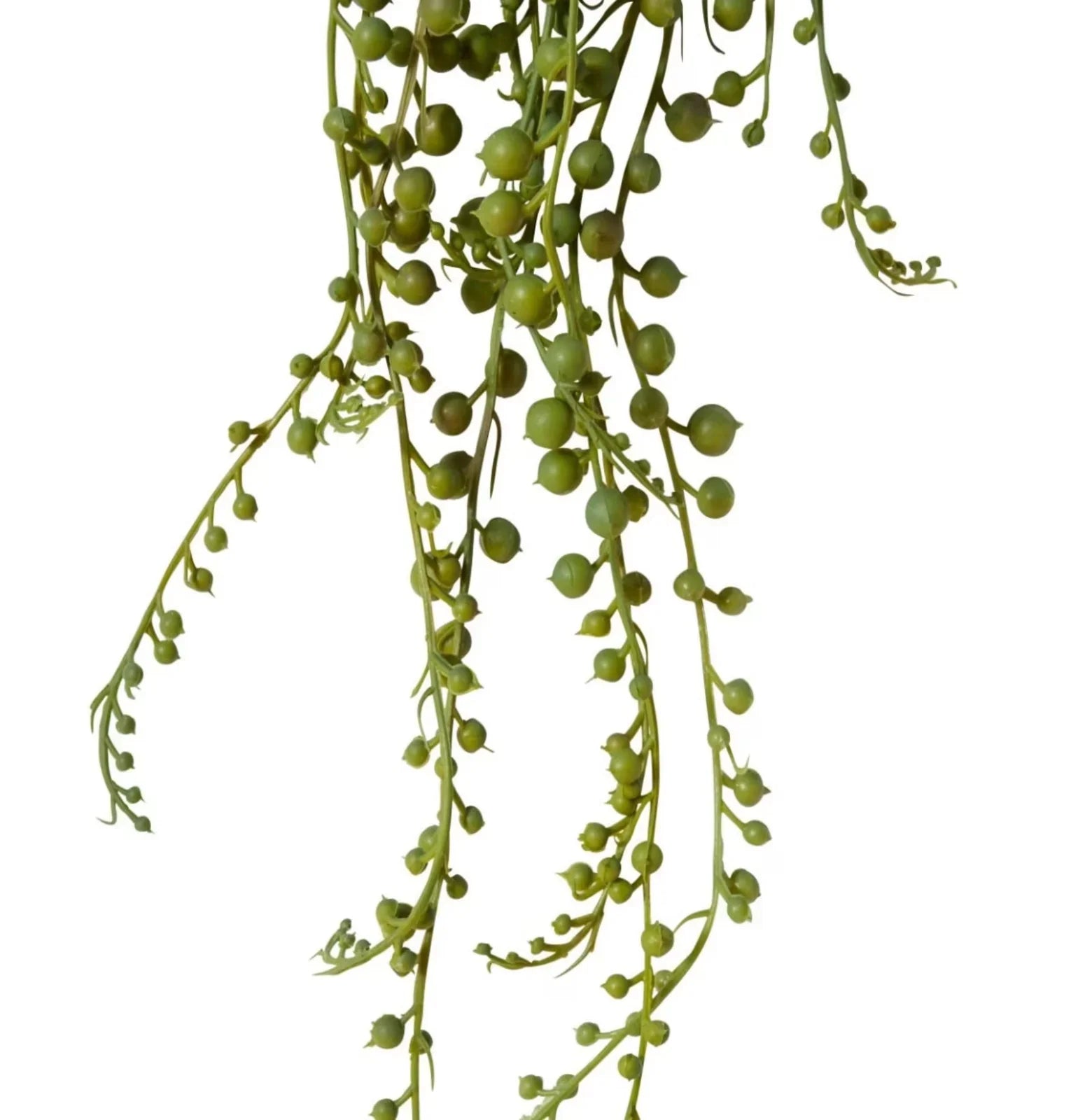 String of Pearls 12 x 12 x 85cm