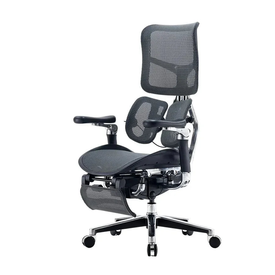 Sihoo DORO-S300 Ergonomic Office Chair/Black with Footrest