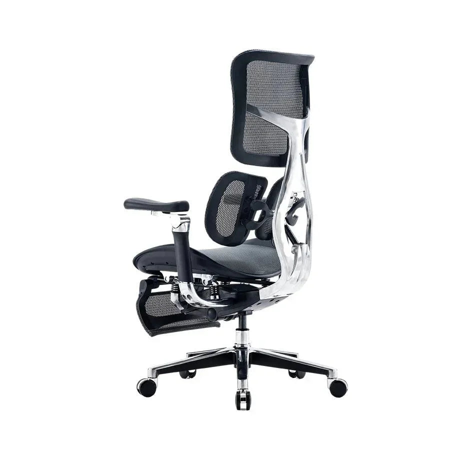 Sihoo DORO-S300 Ergonomic Office Chair/Black with Footrest