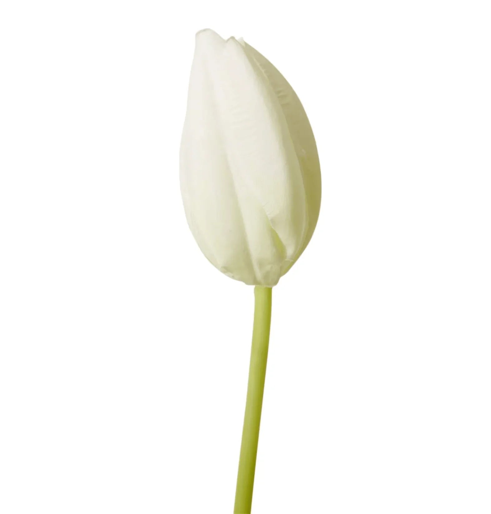 Tulip Stem - 9 x 3 x 74cm