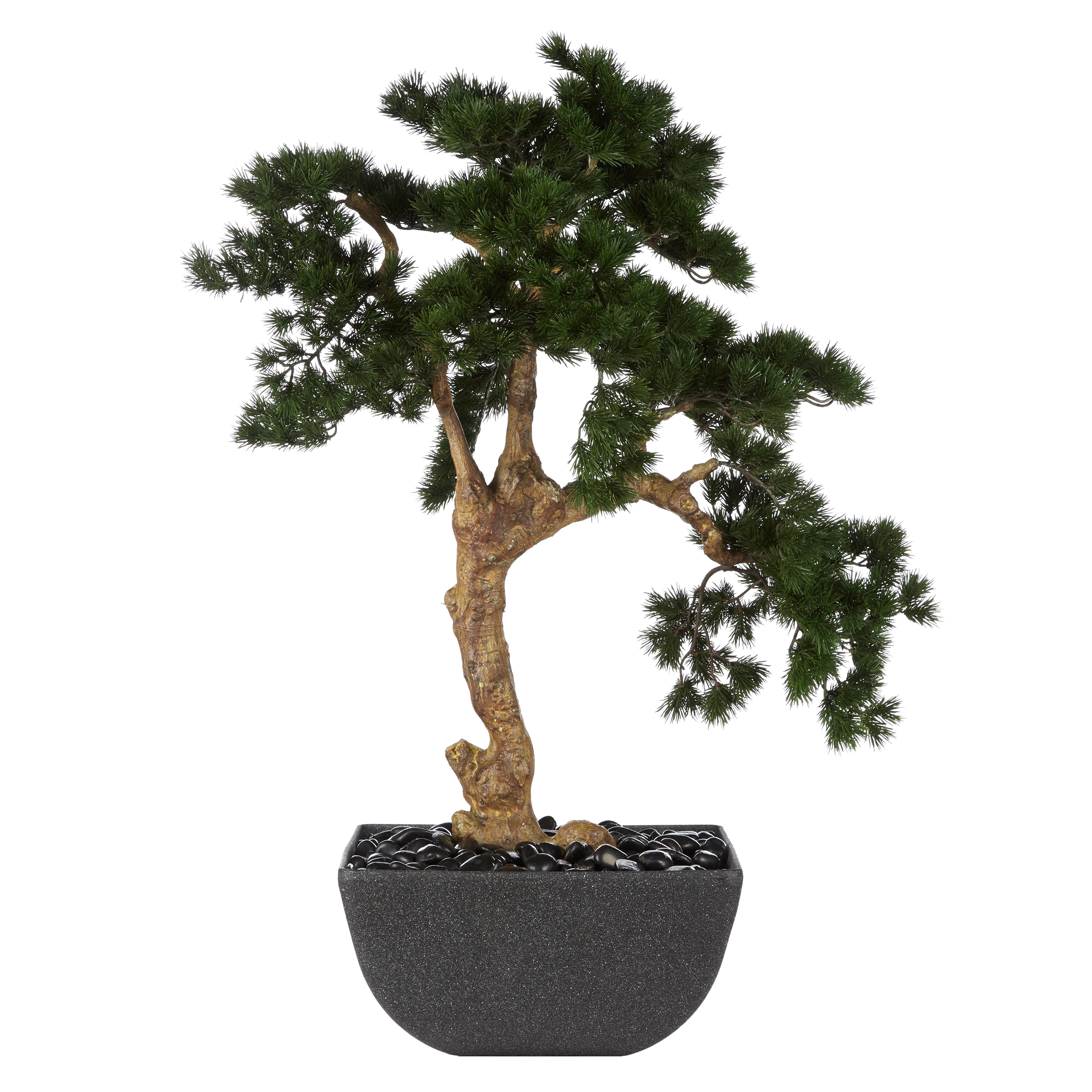 Rogue Pine Bonsai-Oslo Pot Green 80x80x110cm
