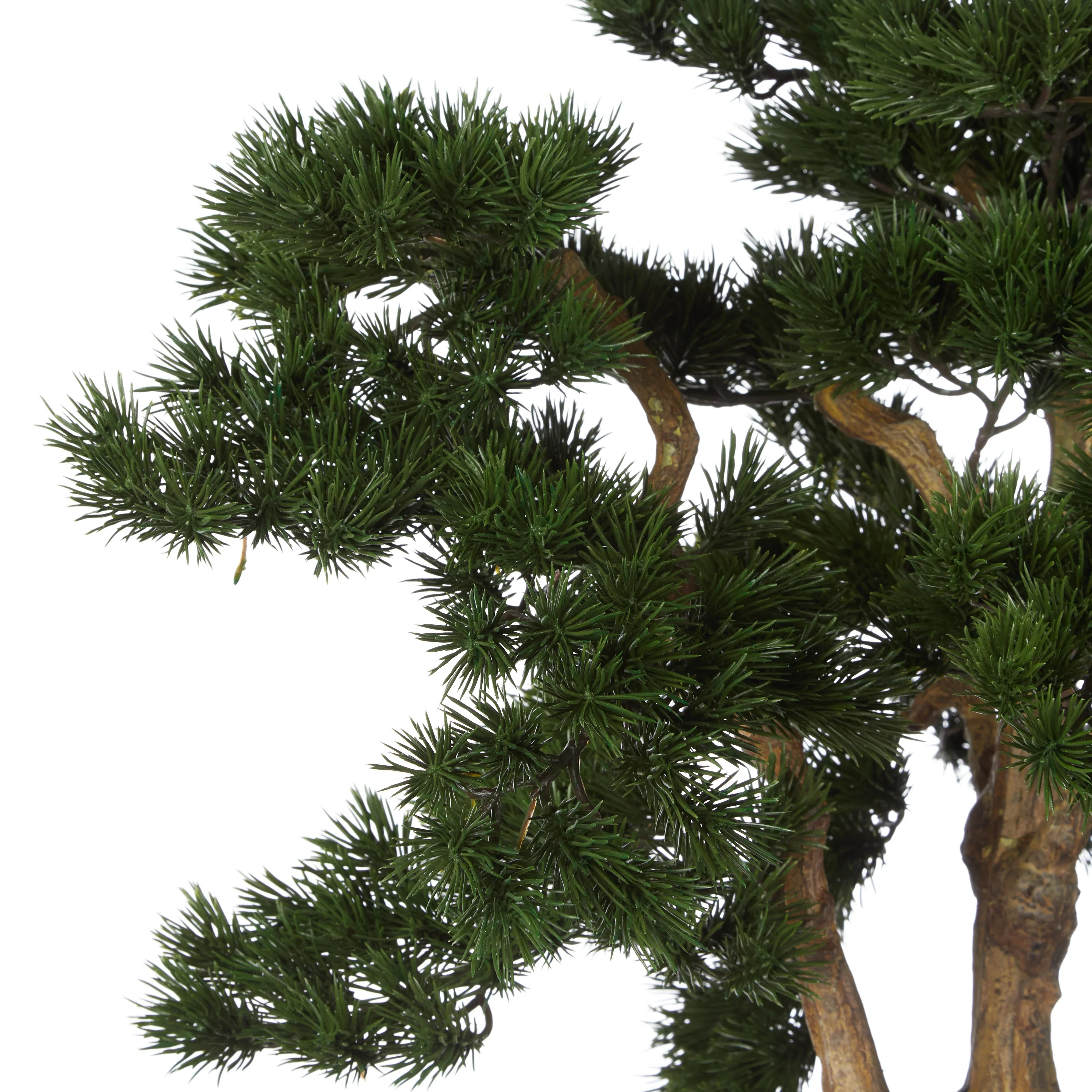 Rogue Pine Bonsai-Oslo Pot Green 80x80x110cm