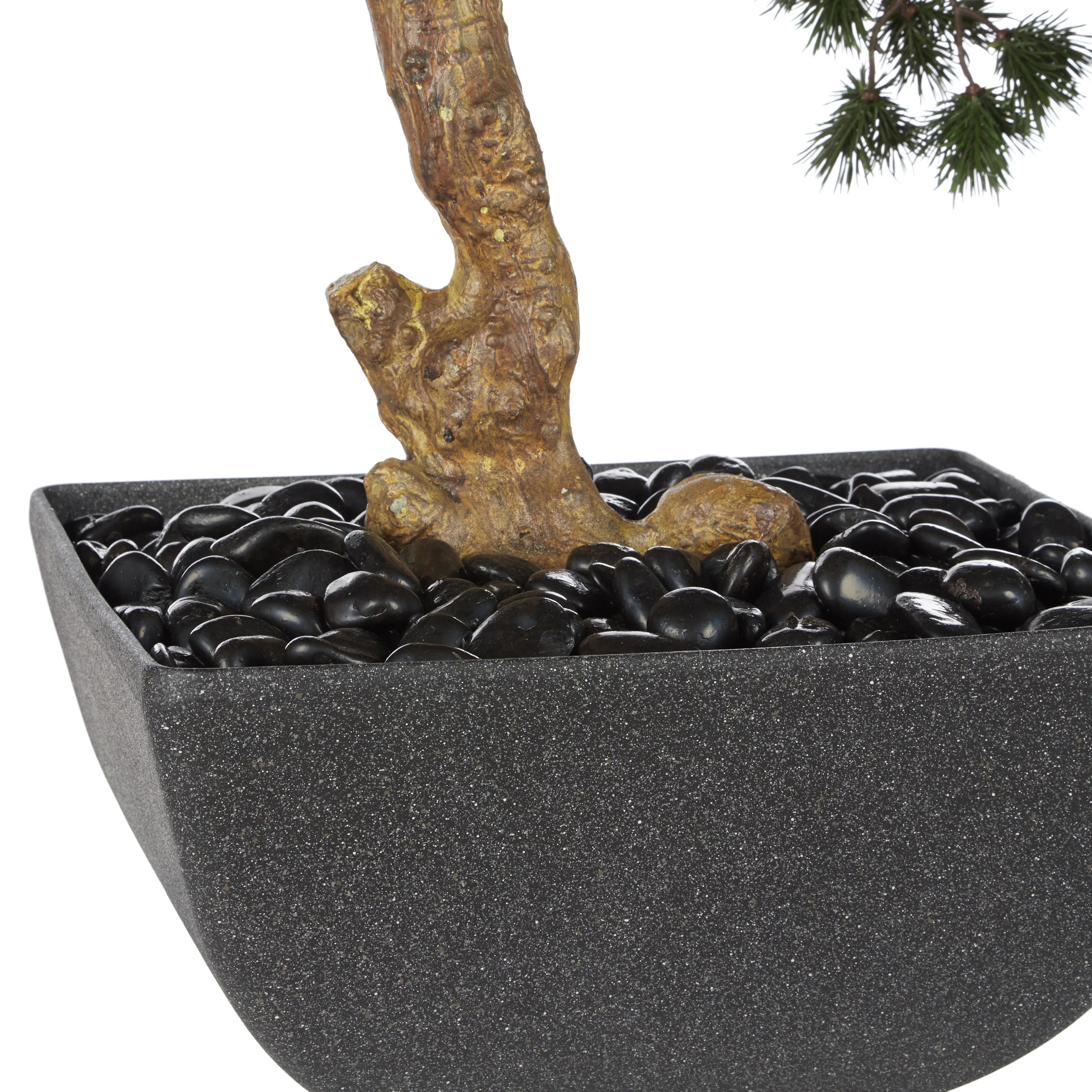Rogue Pine Bonsai-Oslo Pot Green 80x80x110cm