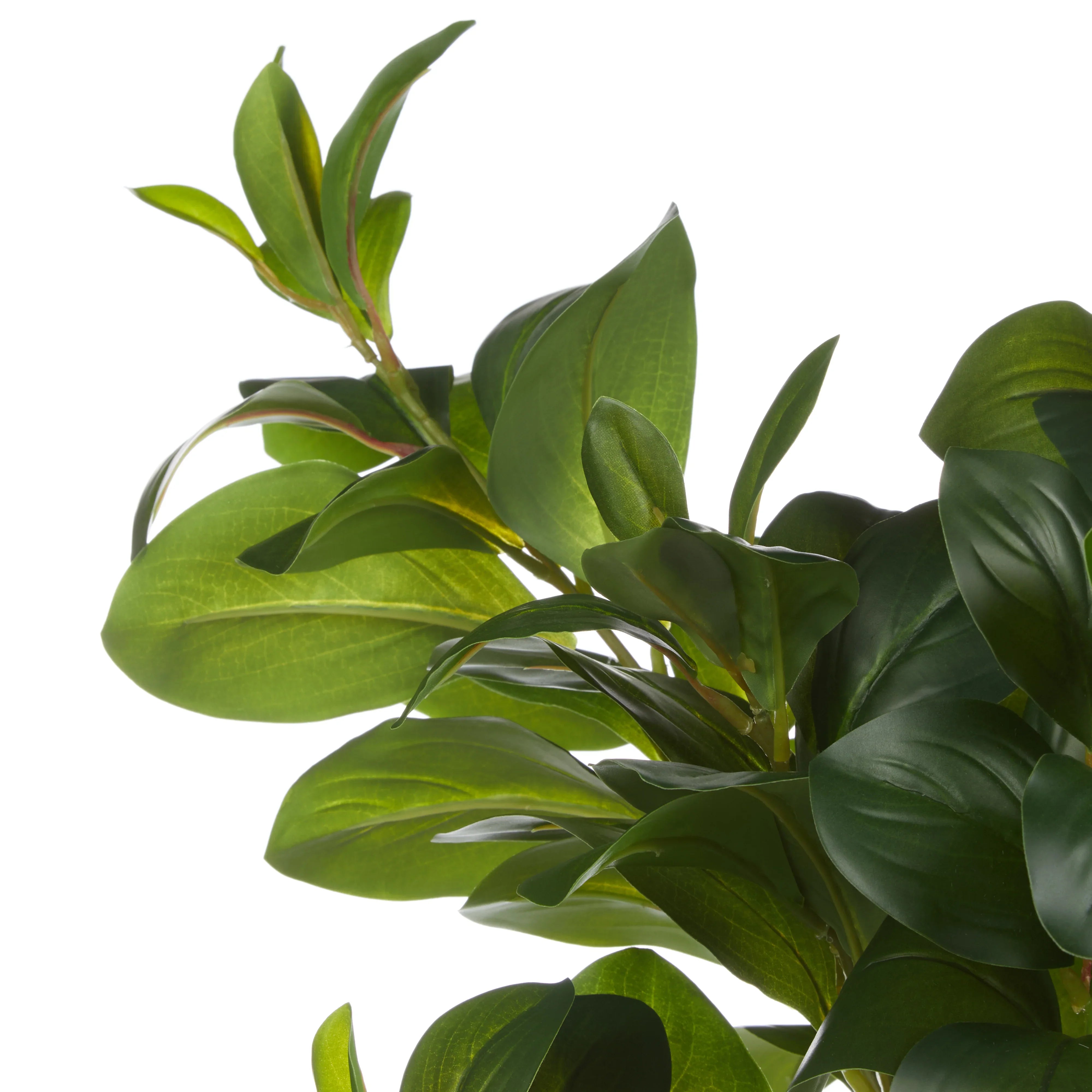 Rogue Lush Leaf Spray Bunch Green 36x36x79cm