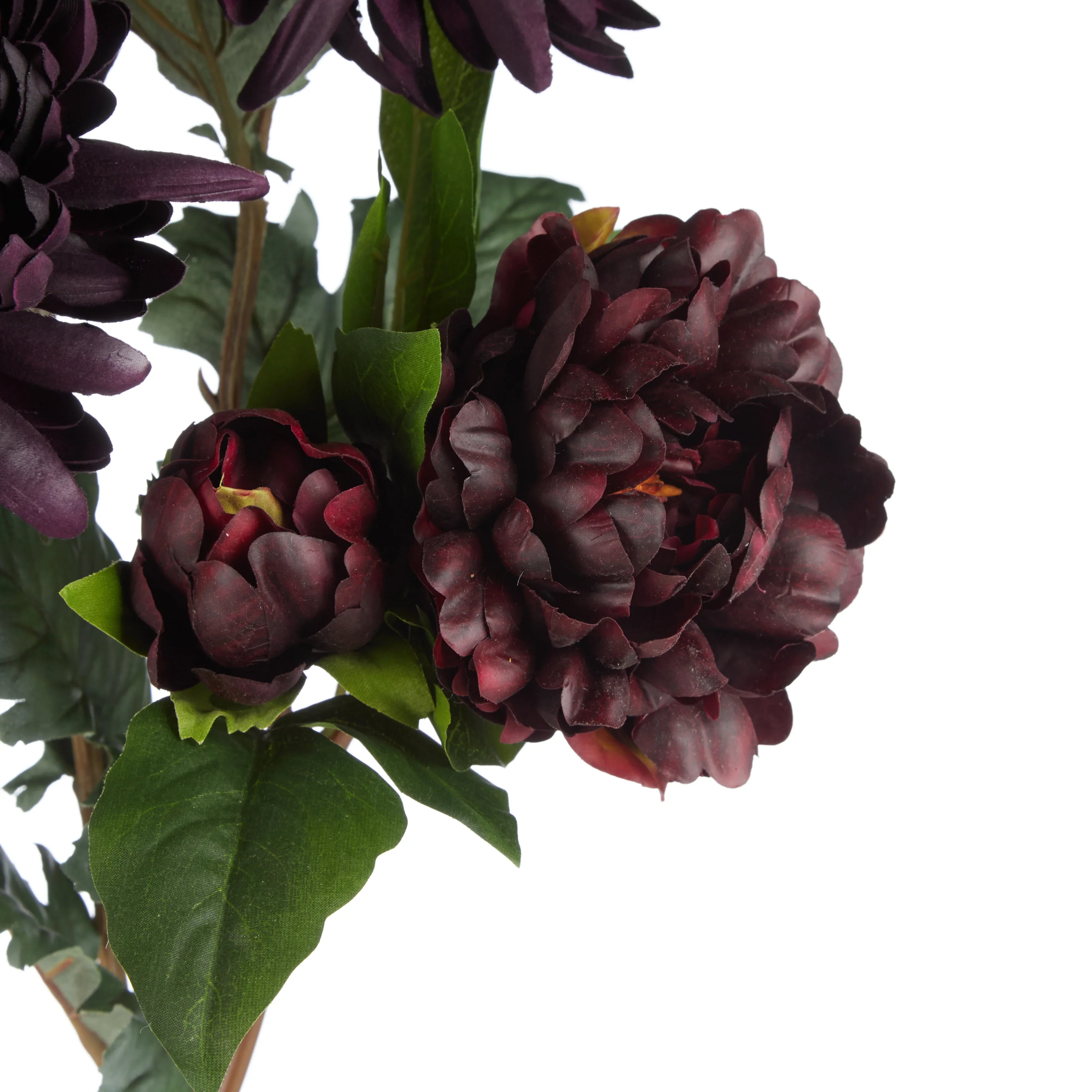 Rogue Vanda Chrysanthemum Peony Mix Bouquet Burgundy & Green 40x40x70cm