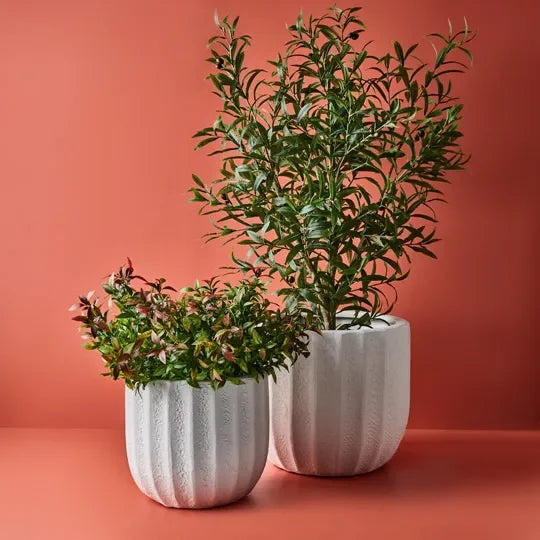 Pot Saskia (set/2)