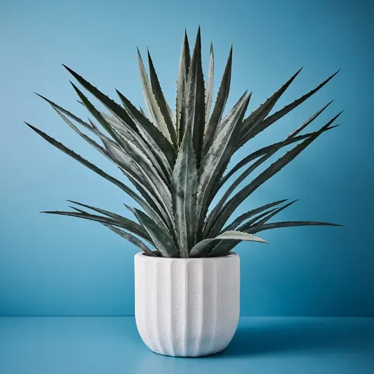 Pot Saskia (set/2)