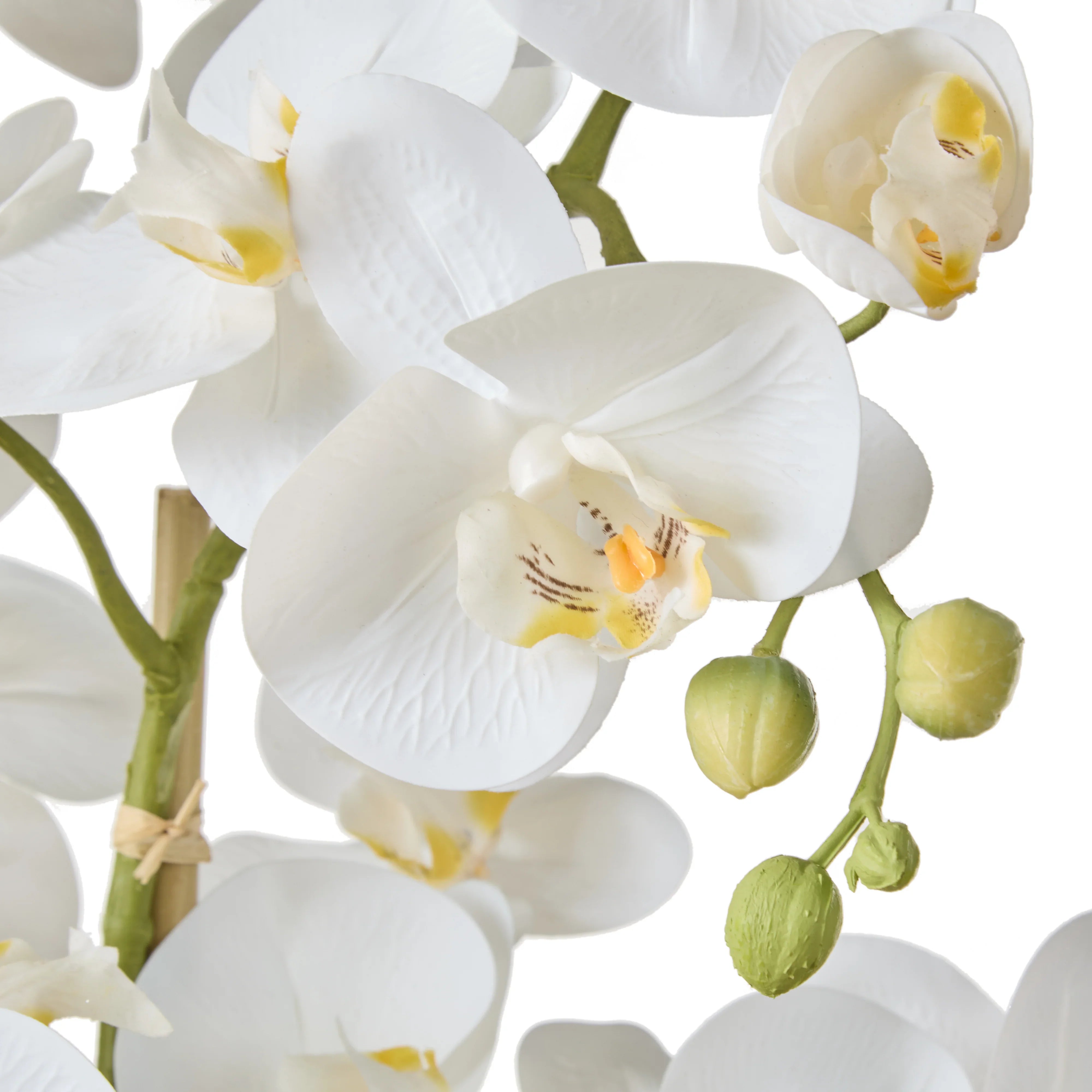 Rogue Phalaenopsis Orchid Pot White 25x30x50cm