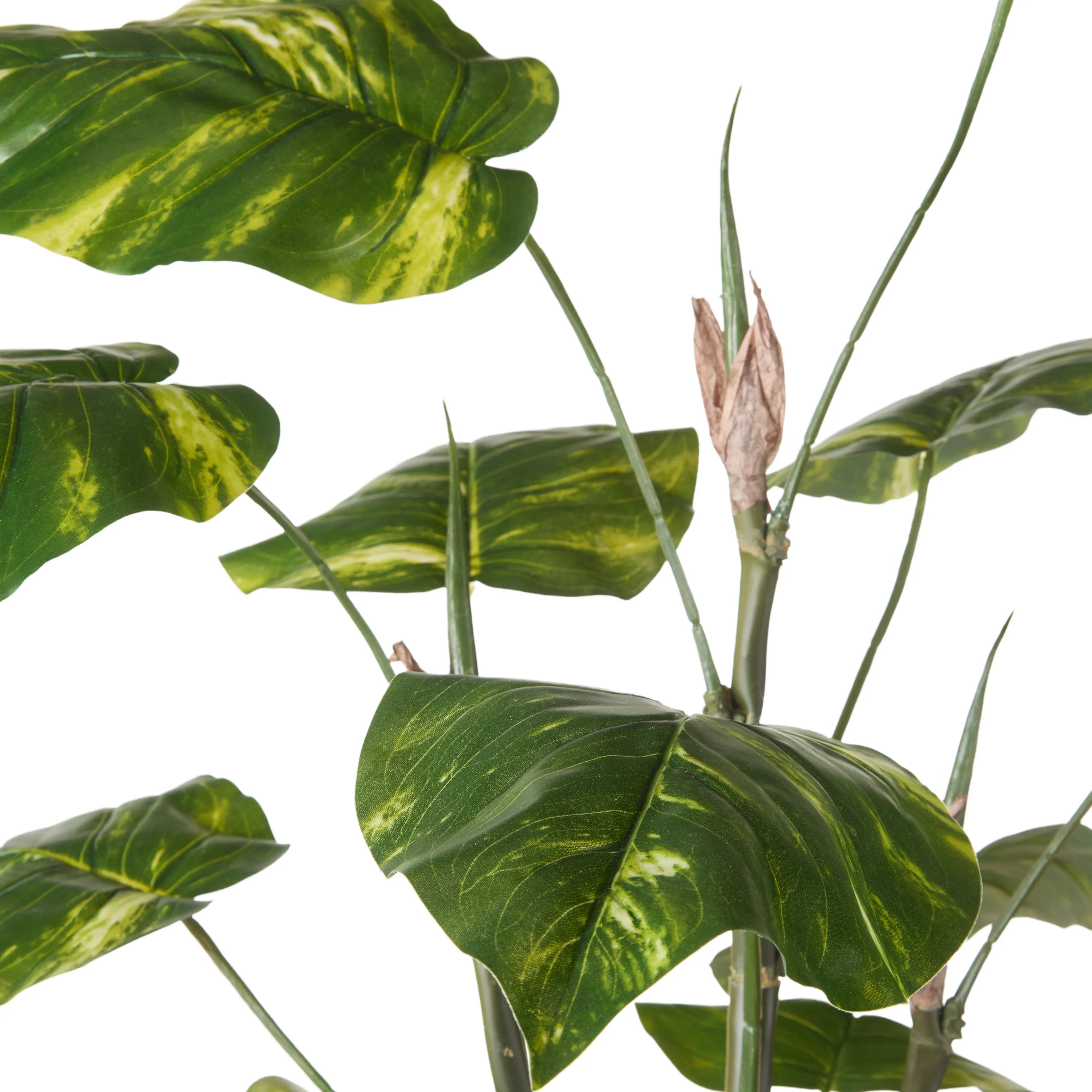 Rogue Pothos Tree Green 43x43x120cm