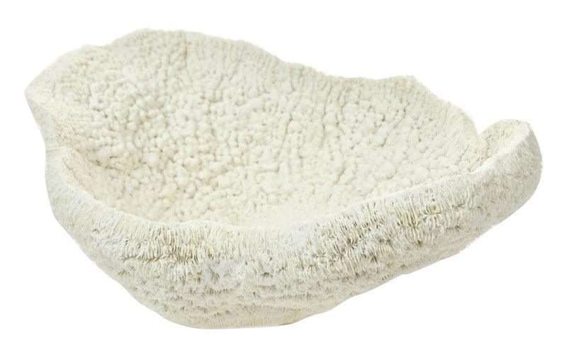 FC 28x16x20cm White Poly Table Coral - Furniture Castle