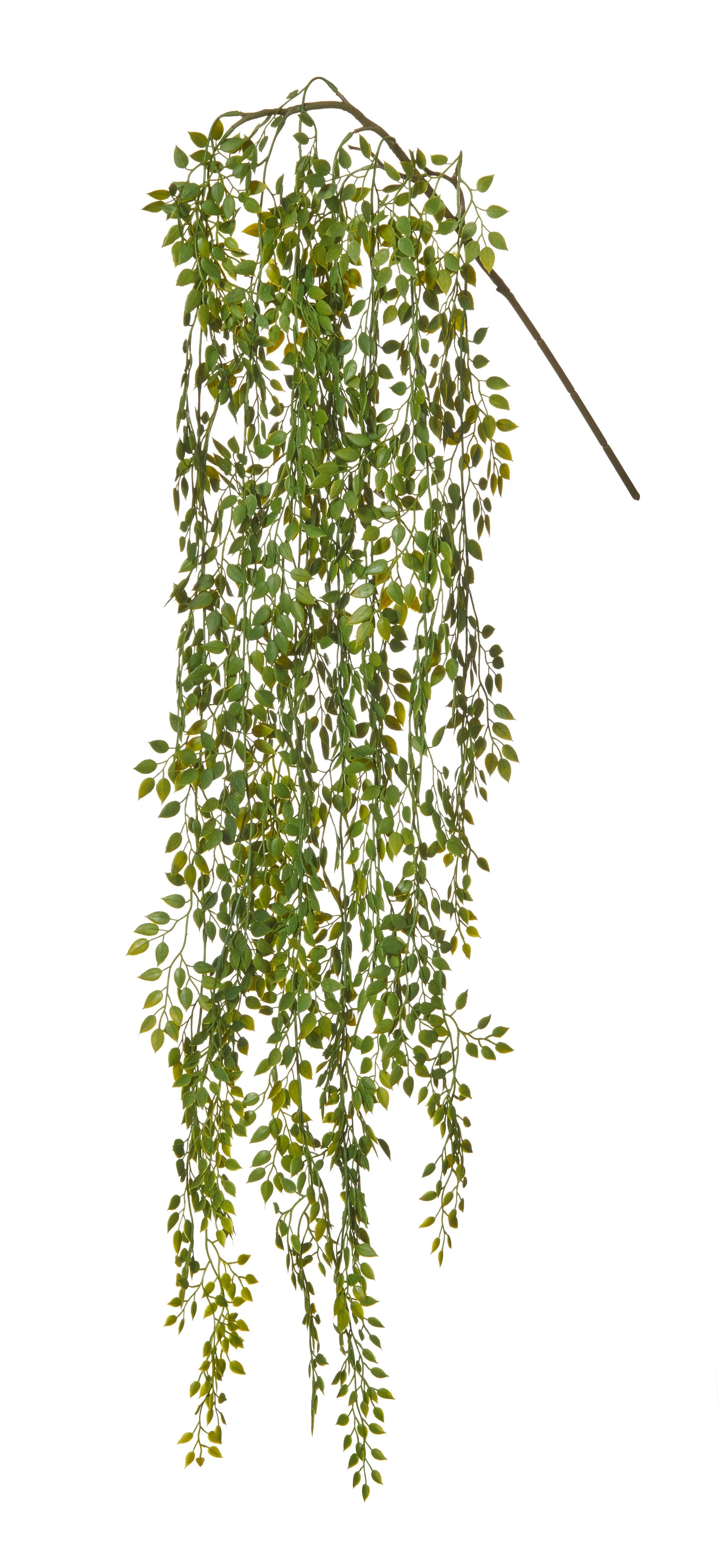 FC Angel Hanging Bush Green 20x85cm - Furniture Castle