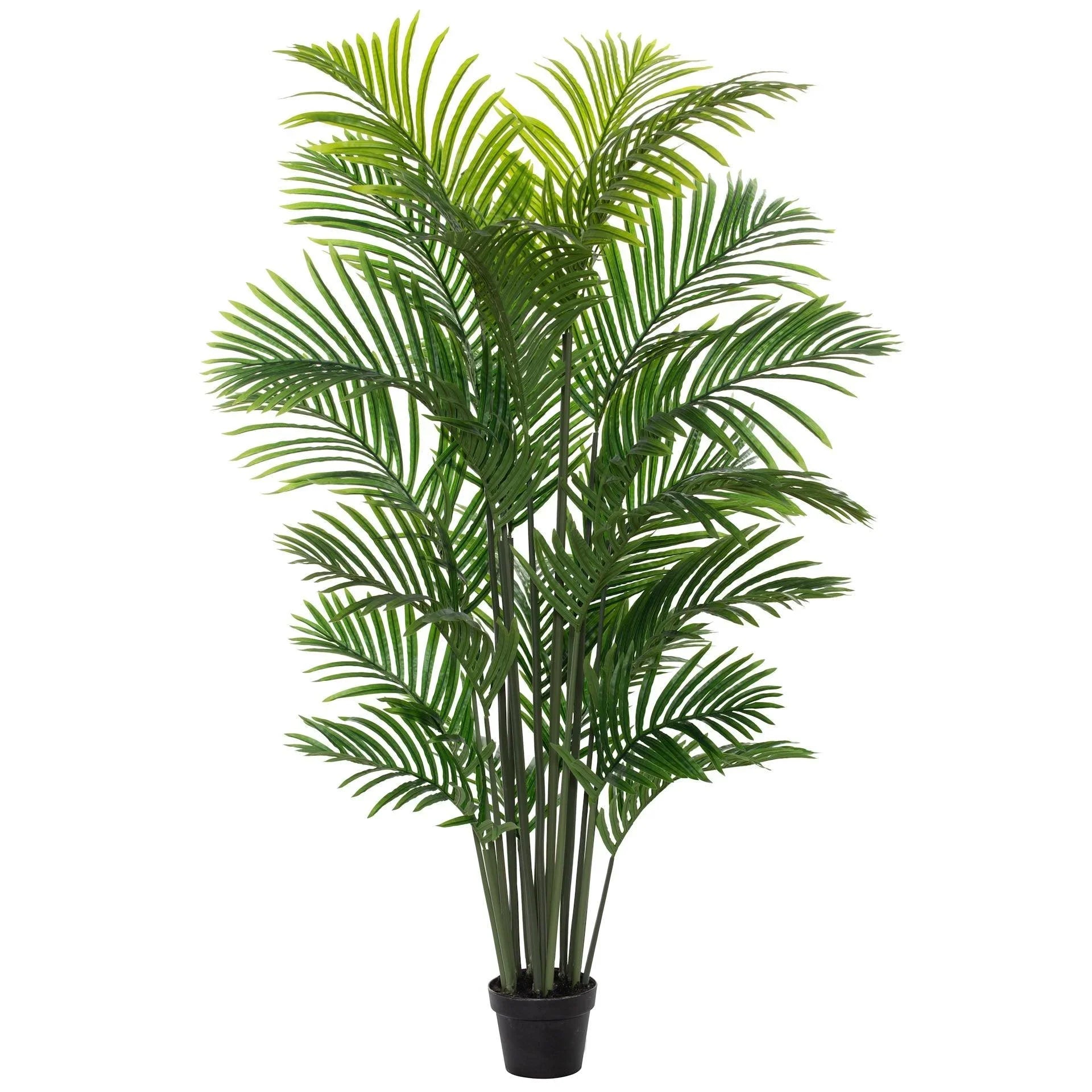 FC Areca Palm Tree-Garden Pot Green 100X100X150cm - Furniture Castle