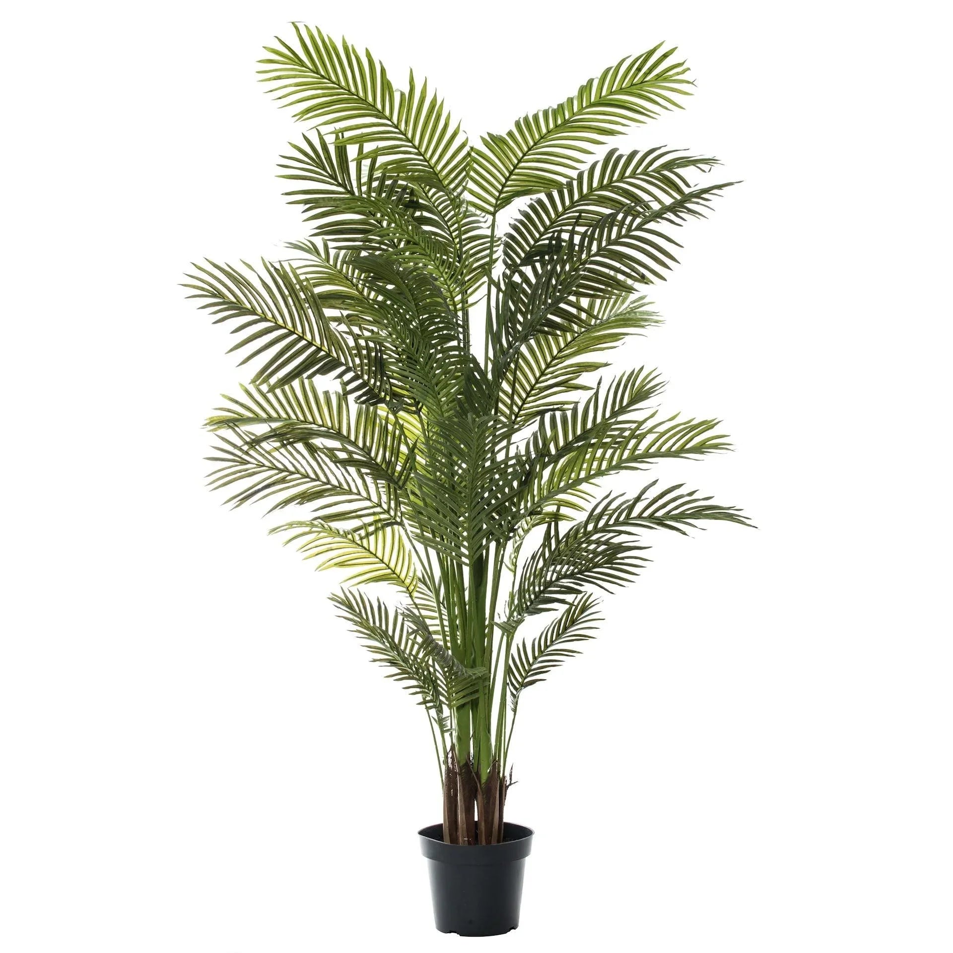 FC Areca Palm Tree-Garden Pot Green 100X100X150cm - Furniture Castle