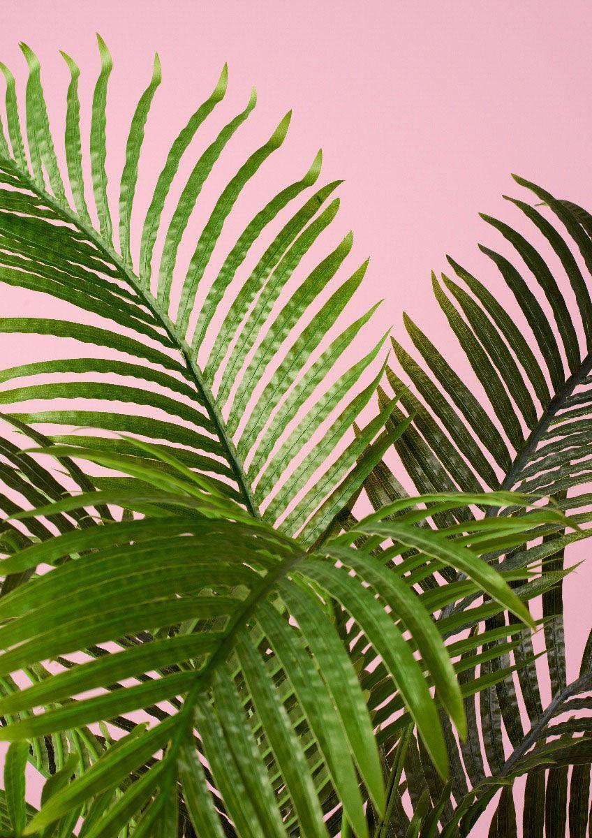 FC Areca Palm Tree-Garden Pot Green 100X100X150cm - Furniture Castle