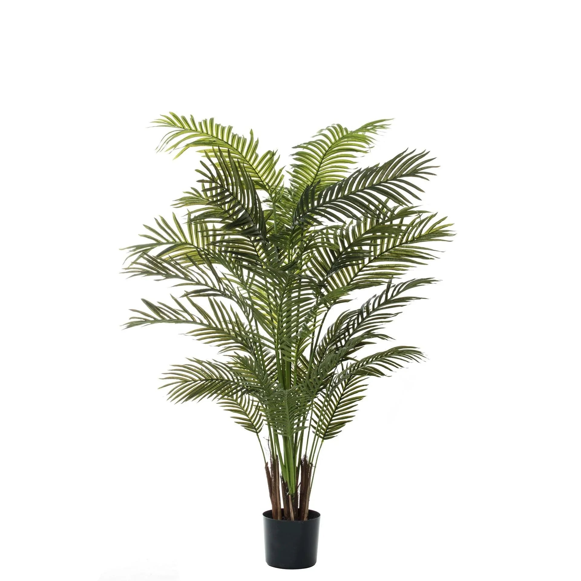 FC Areca Palm Tree-Garden Pot Green 100X100X150cm - Furniture Castle
