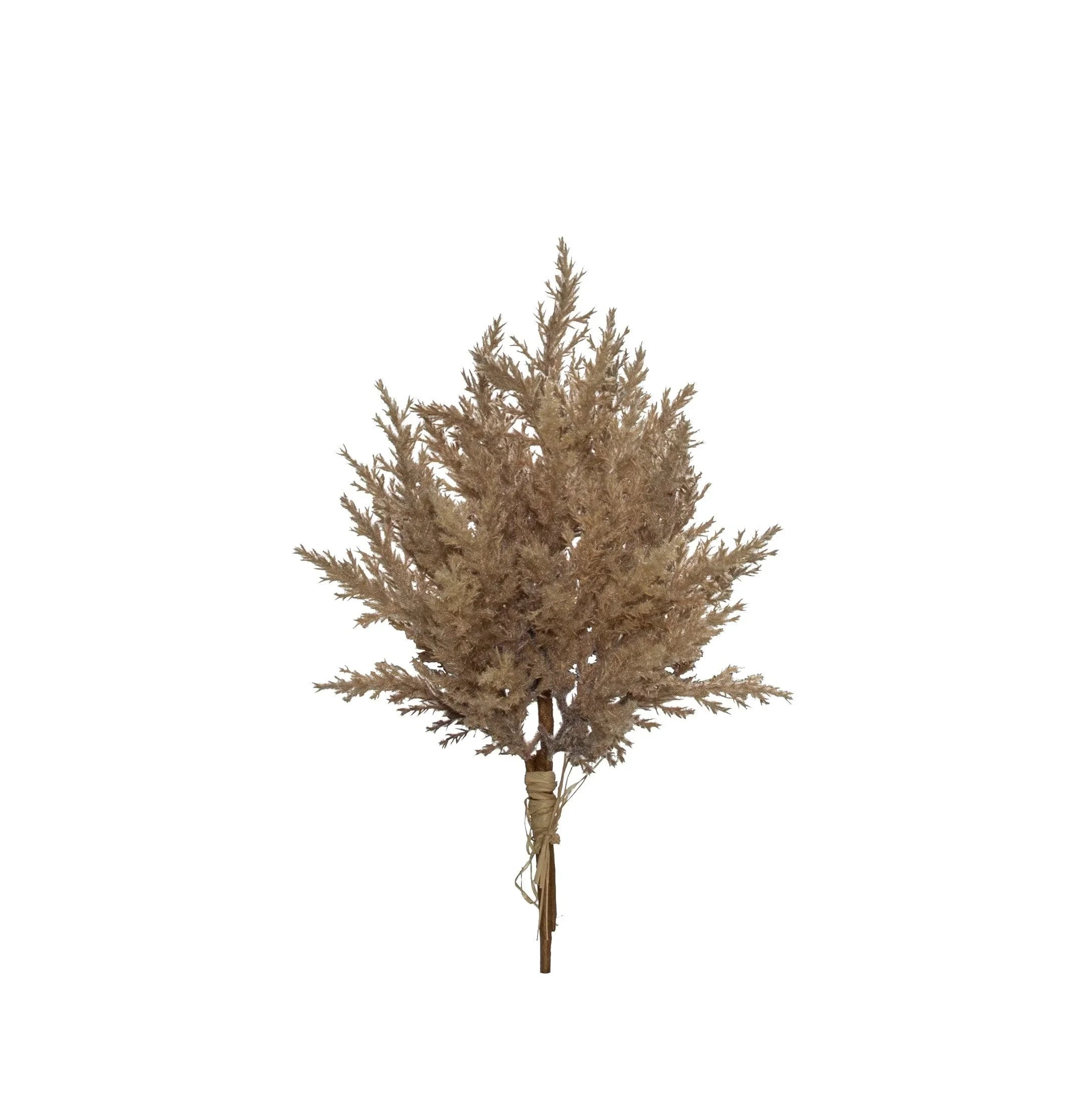 FC Astilbe Bunch Brown 20x20x33cm - Furniture Castle