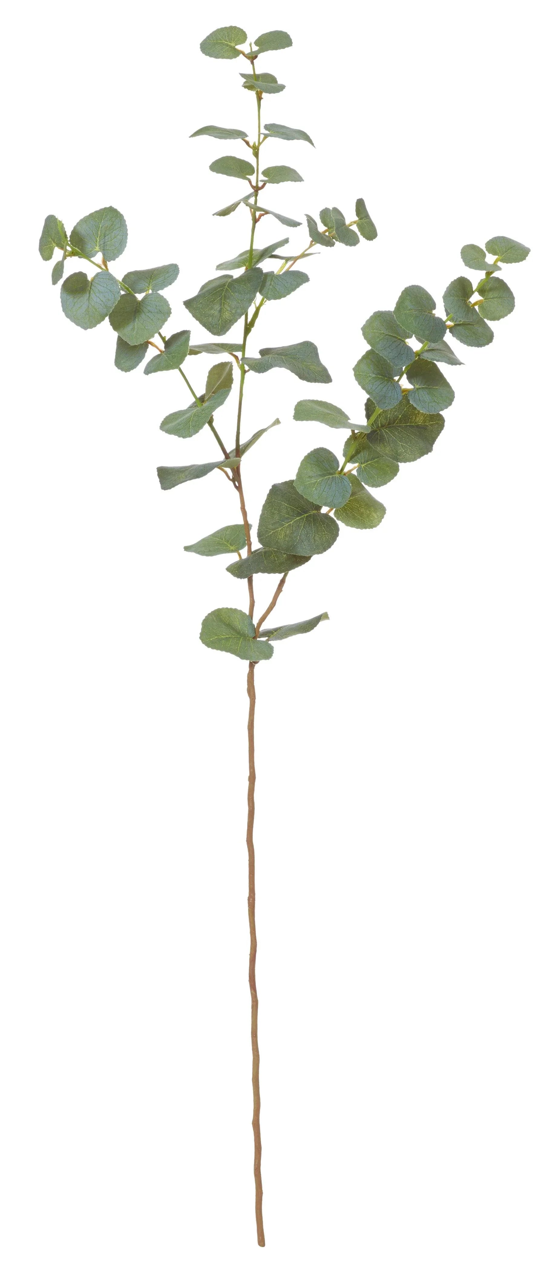 FC Eucalyptus Spray Green 20x20x78cm - Furniture Castle