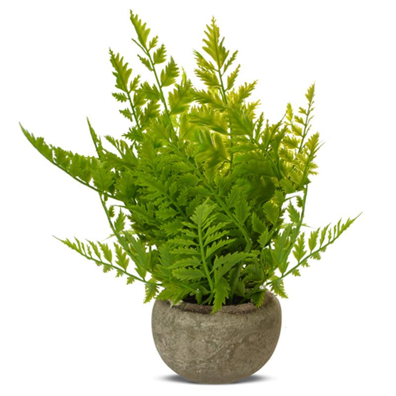 FC Fern Bunch In Round Grey Pot 24cm - Furniture Castle