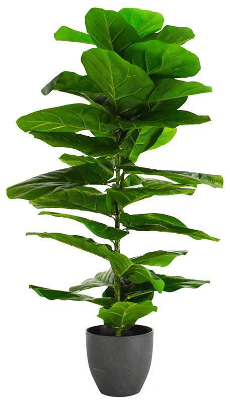 FC Fiddleleaf Tree Real Touch In Pot 100cm - Furniture Castle