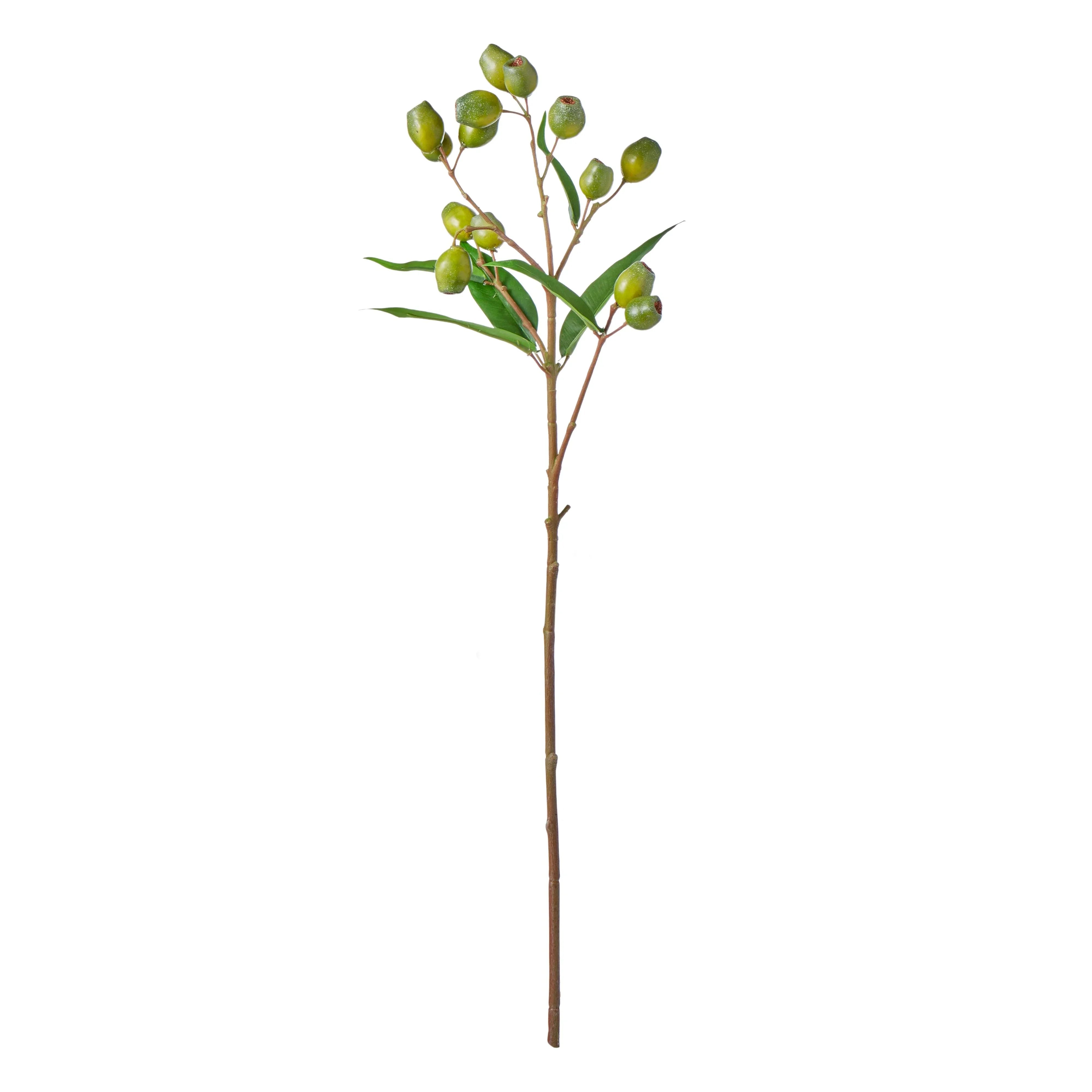FC Gum Nut Spray Green 28x21x66cm - Furniture Castle
