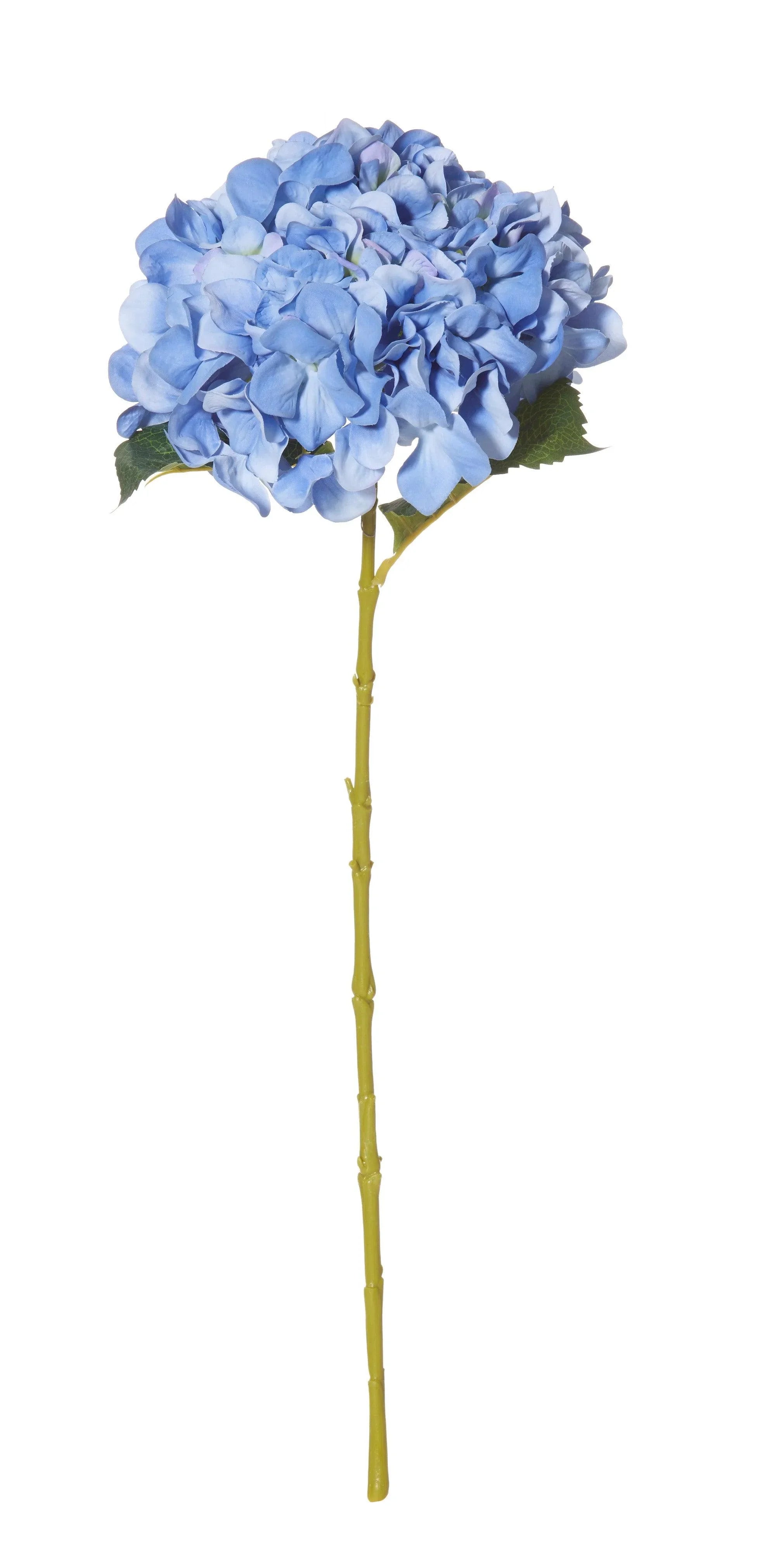FC Hydrangea Stem Pale Blue 20X20X65cm - Furniture Castle