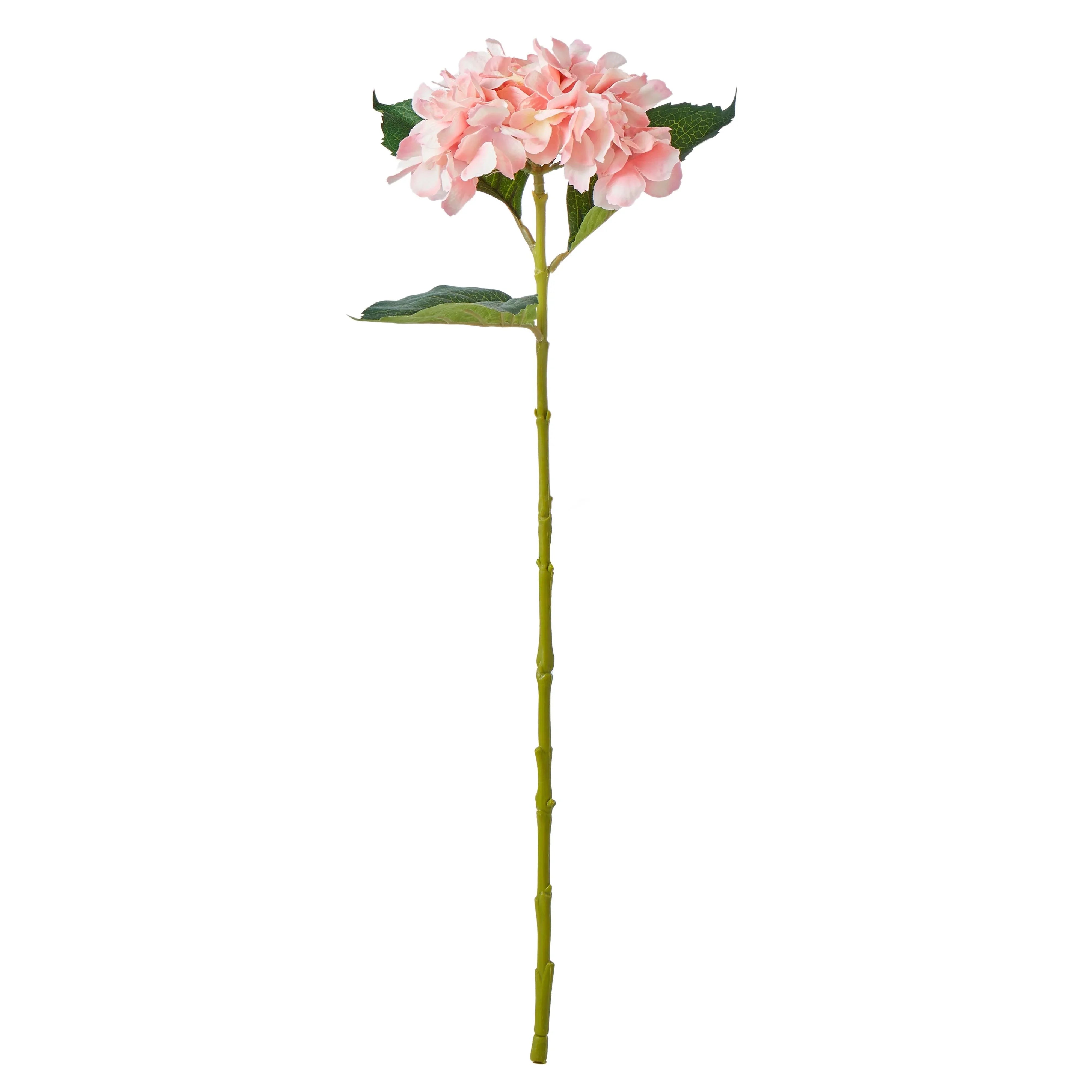 FC Hydrangea Stem Pink 15x15x60cm - Furniture Castle