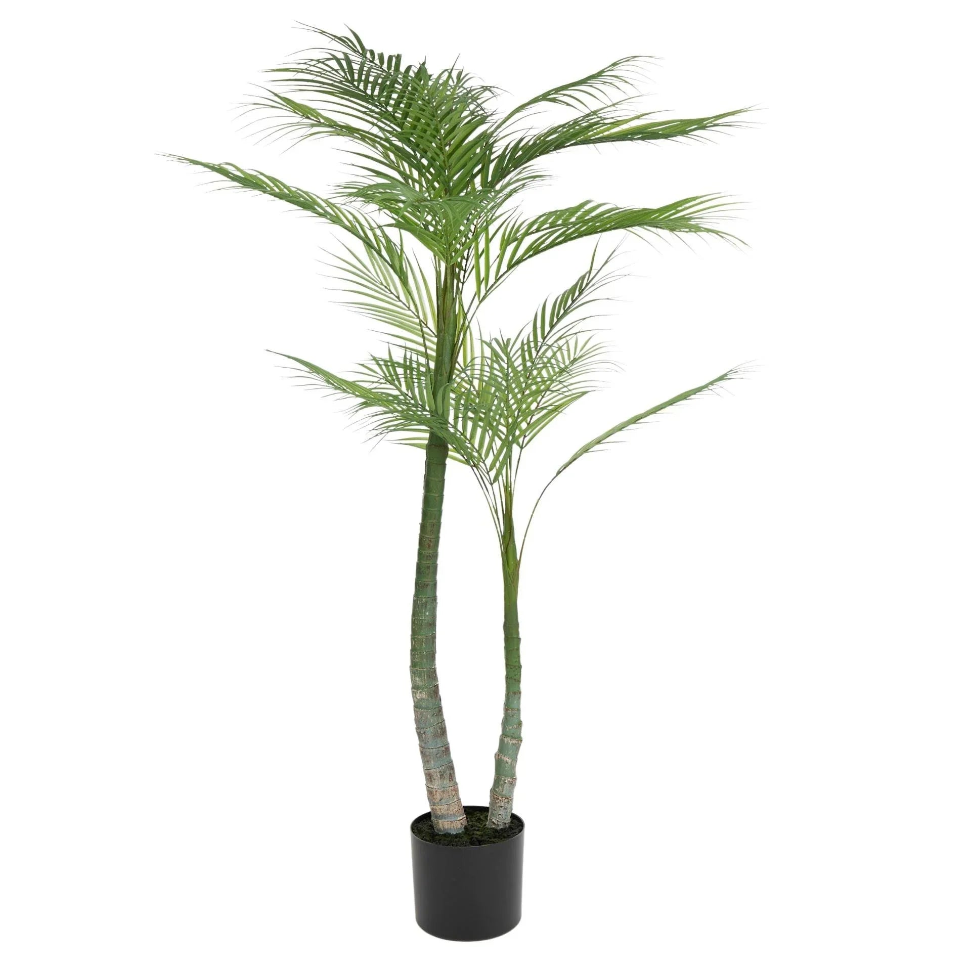 FC Palm Tree 114cm In Black Pot 15x13cm - Furniture Castle