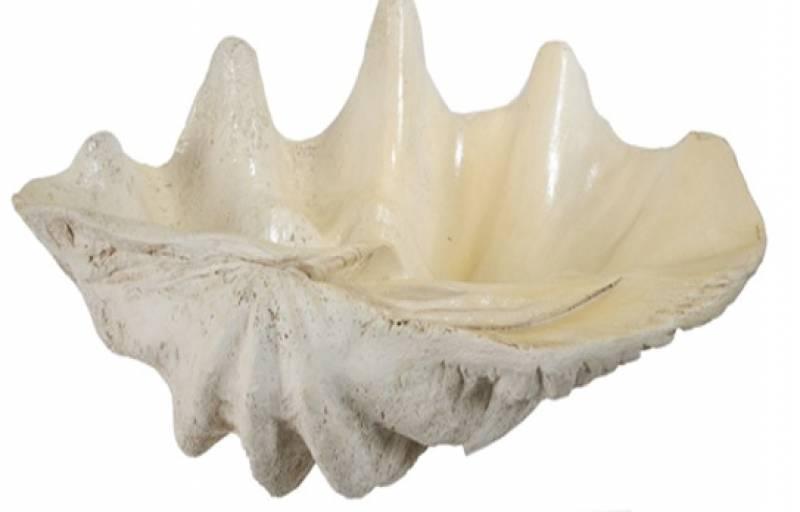 FC Sandy Seashell White Medium - Furniture Castle