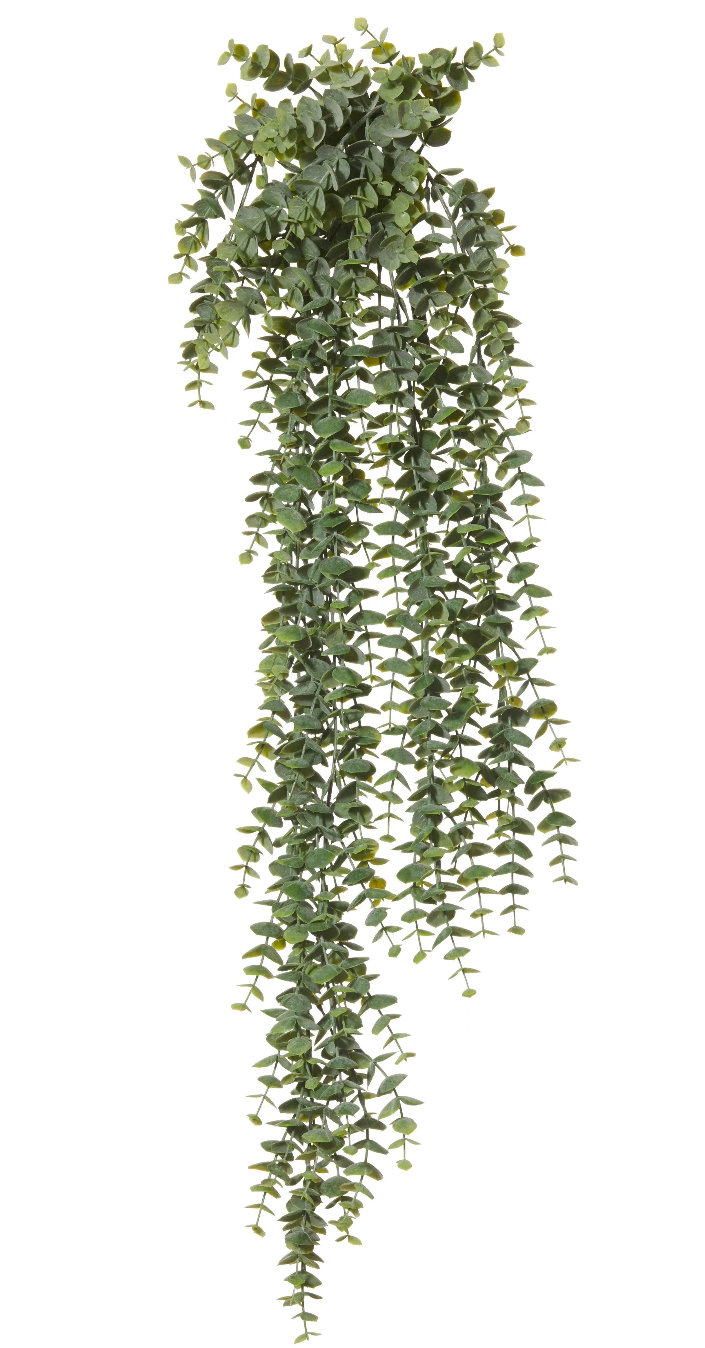 FC Trailing Falls Bush Green 80cm - Furniture Castle