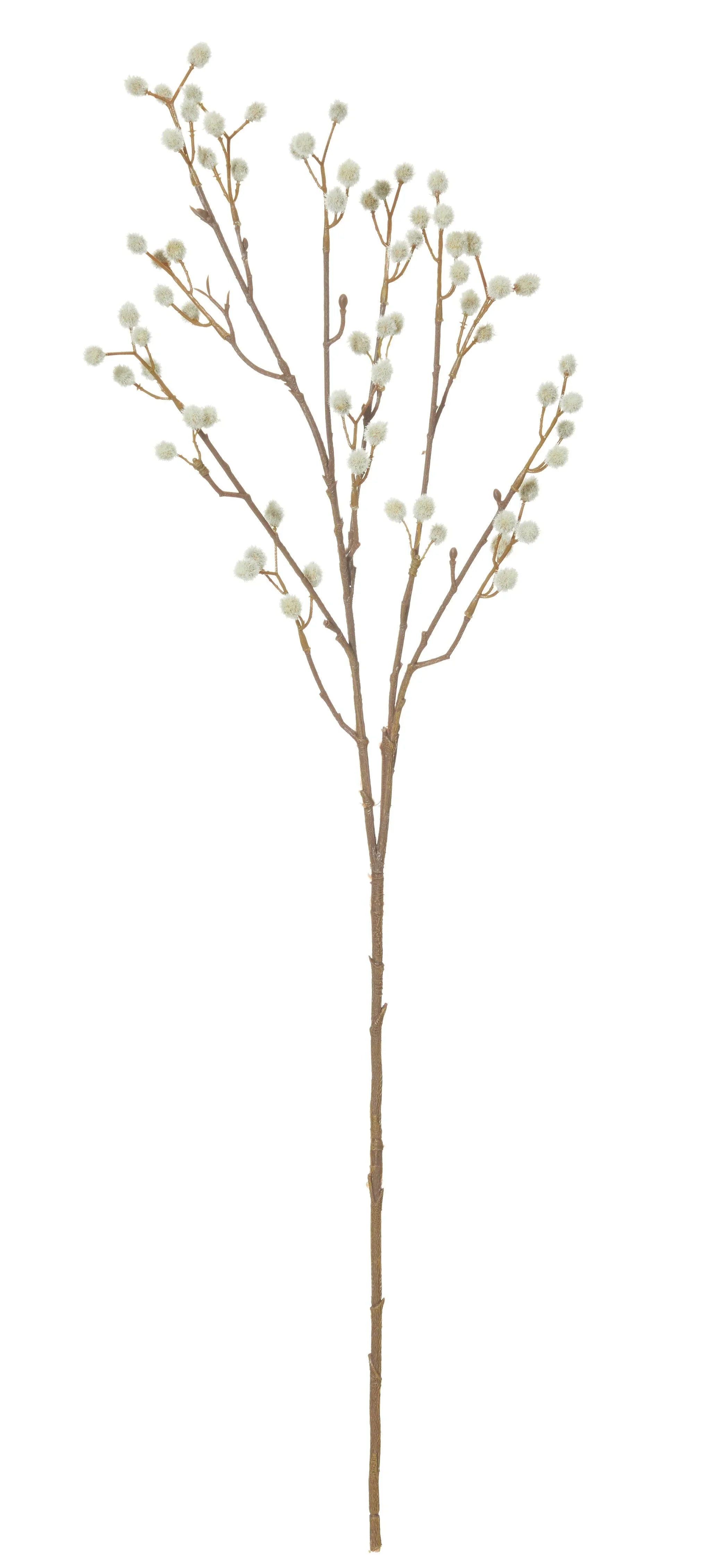 FC Willow Spray Natural 20x12x70cm - Furniture Castle