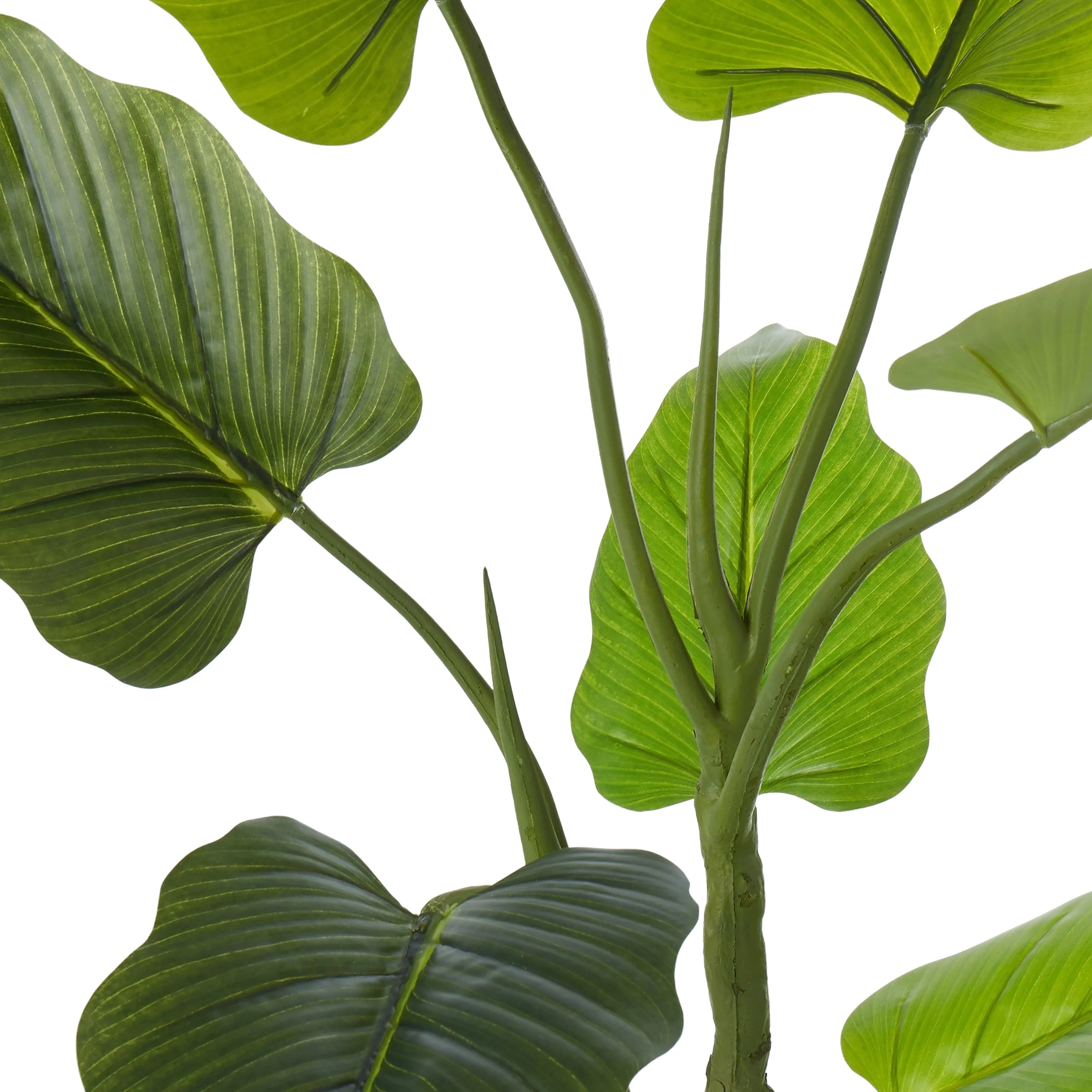 Giant Taro Plant Green100x100x140cm - Furniture Castle