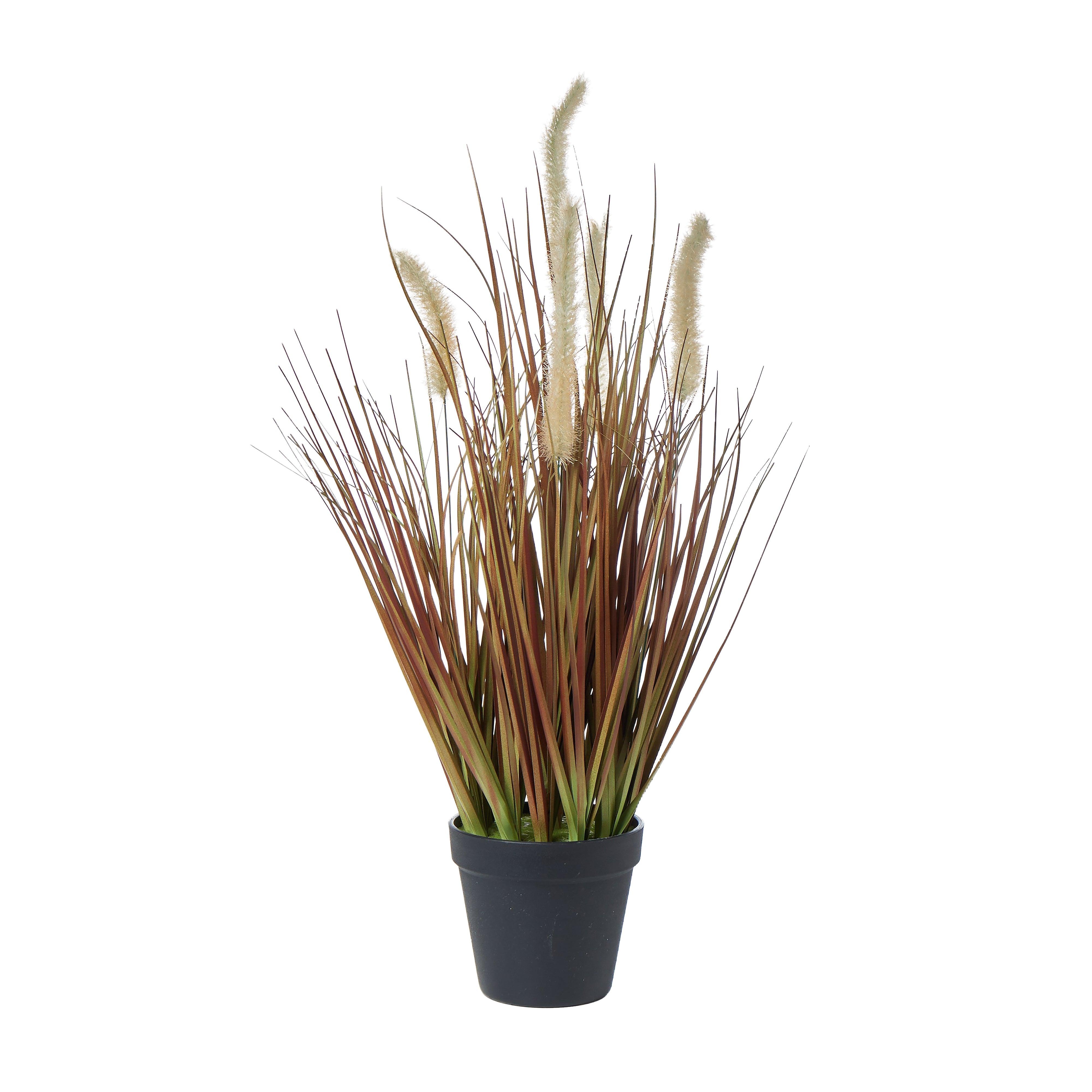Grass Plant-Garden Pot Brown 51x51x90cm - Furniture Castle