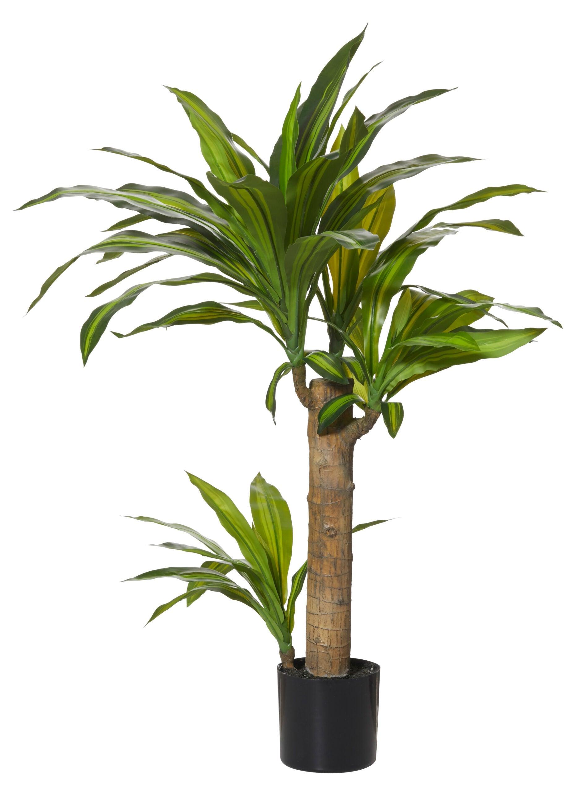 Happy Plant Green 60x50x80cm - Furniture Castle